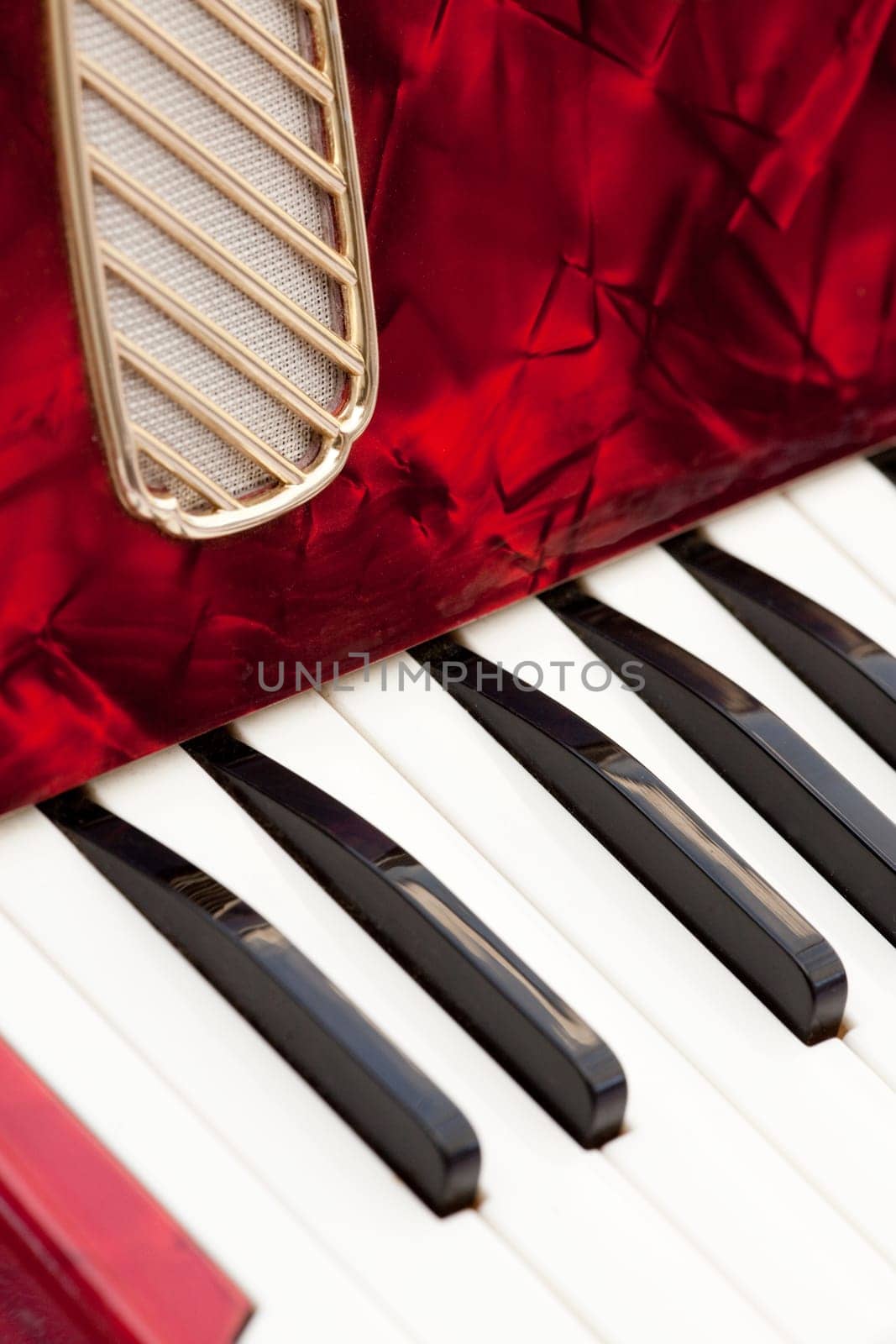 A detail of an old accordion isolated on white