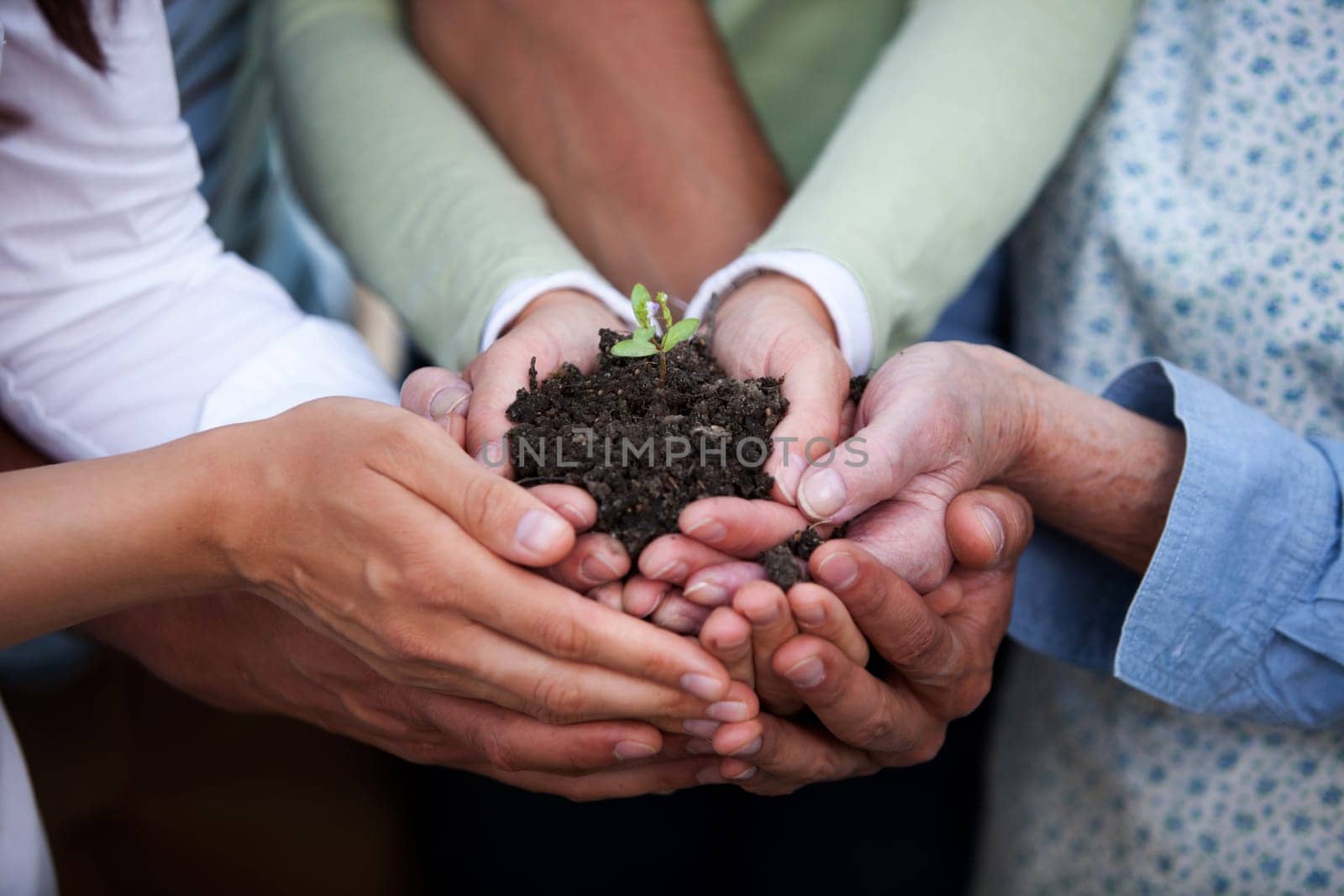 Group of people of all ages holding a plant in dirt