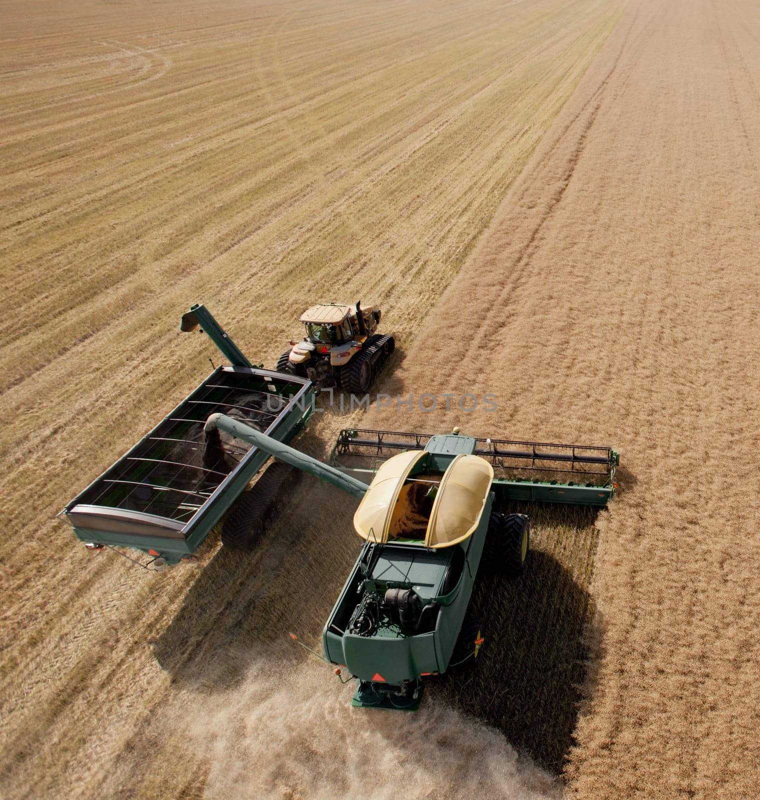 Combine harvesting a canola field on the prairie