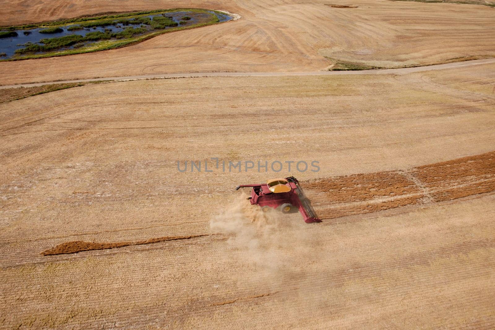 A green harvester on the open prairie, finishing up a field of lentils