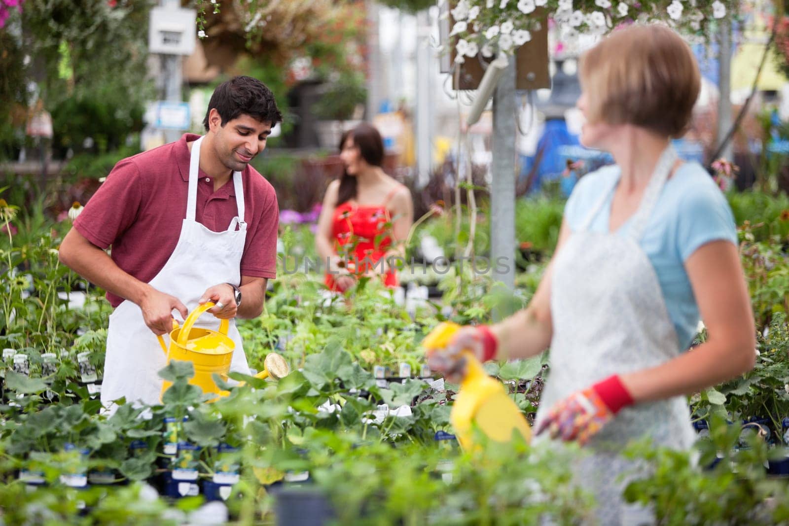 Workers watering the plants at greenhouse with people in background