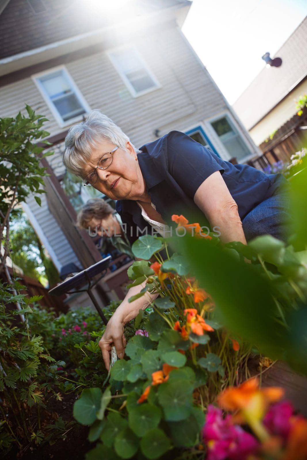 Portrait of lovely senior woman taking care of plants