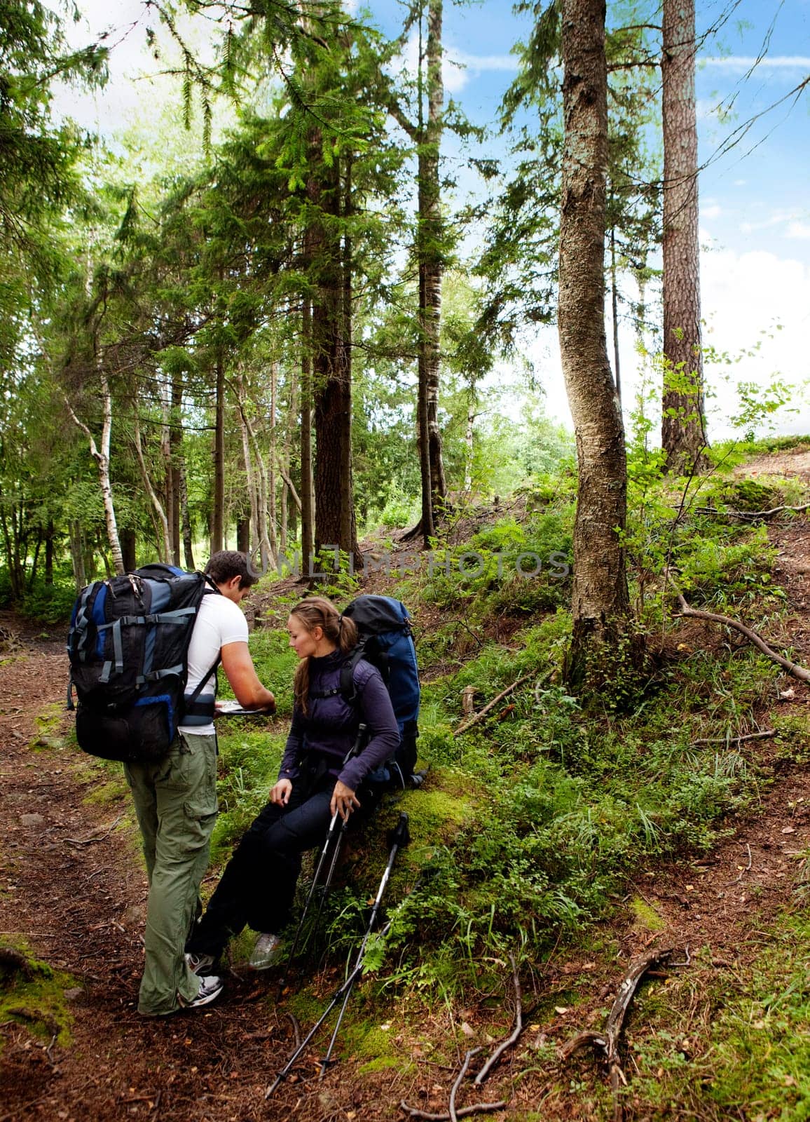A couple backpack camping in the forest looking at a map