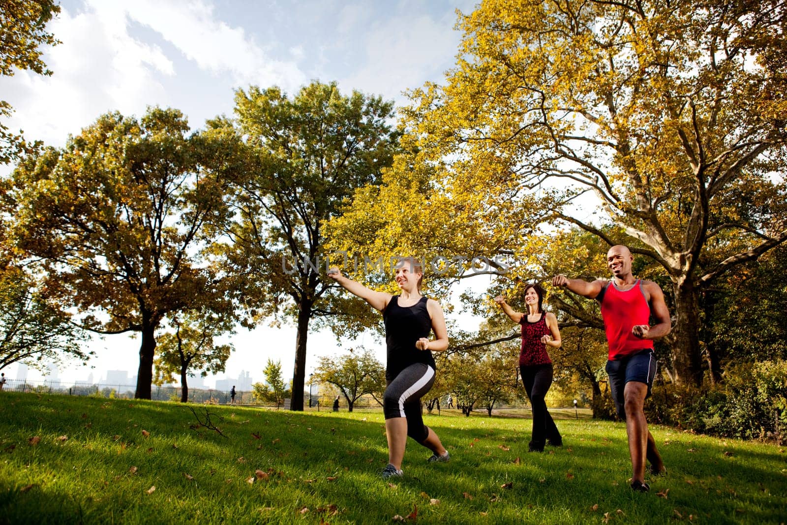 A group of young adults training martial arts in the park