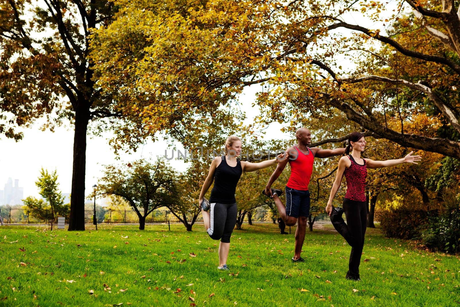 A group of people in the park stretching