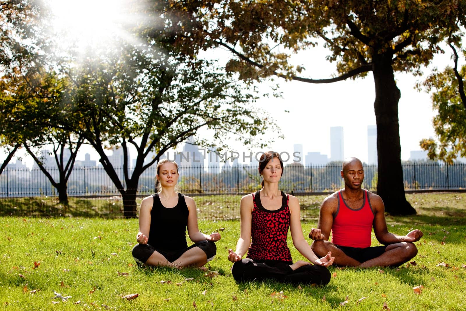 A group of people meditation in a city park