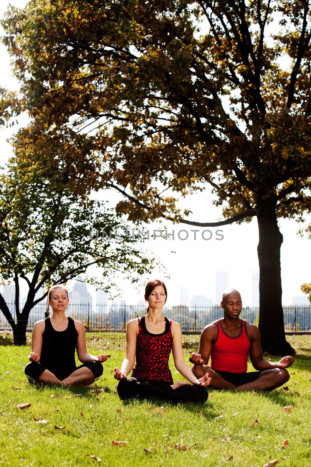 A group of people meditation in a city park