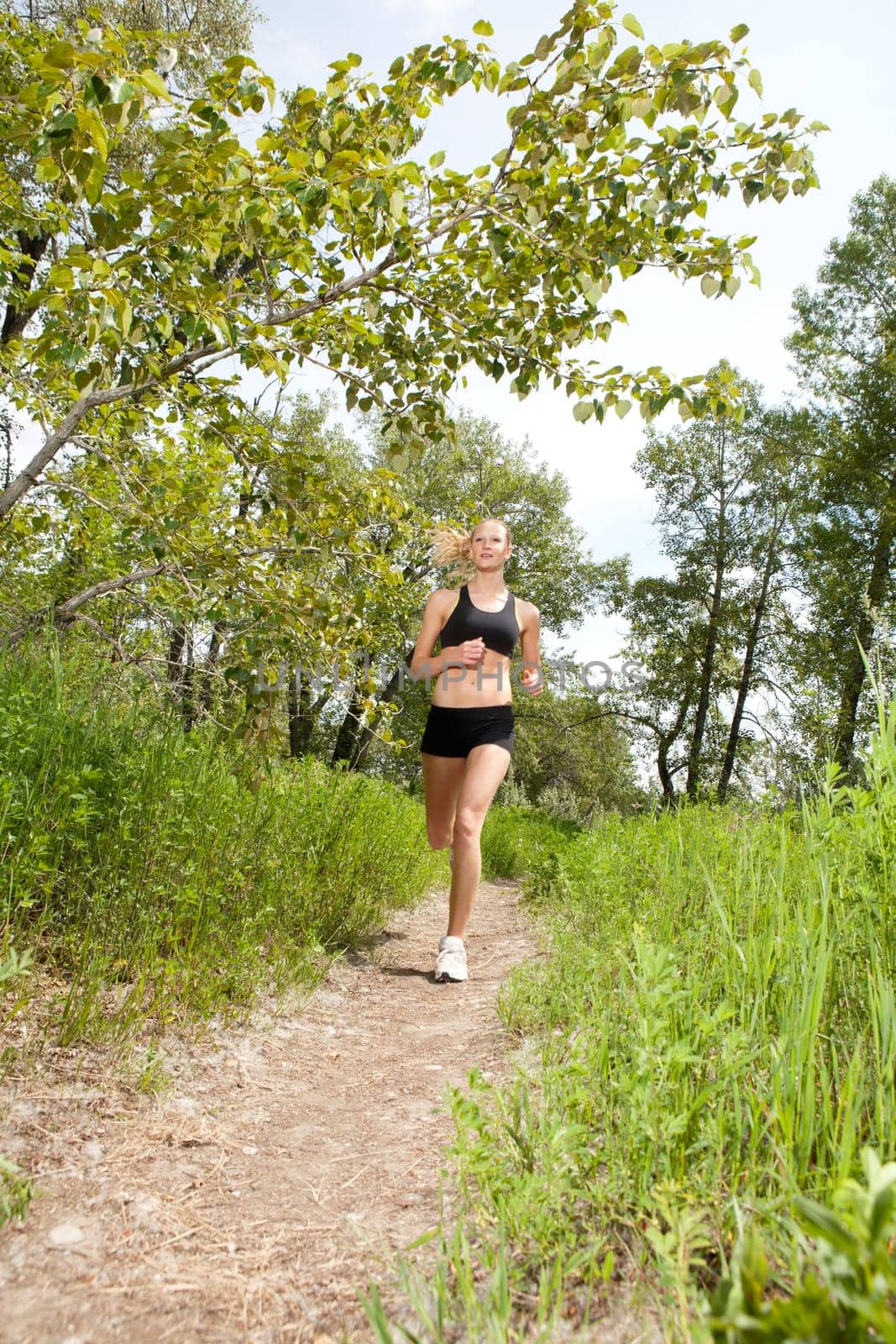 Young woman jogging outdoors in summer on trail