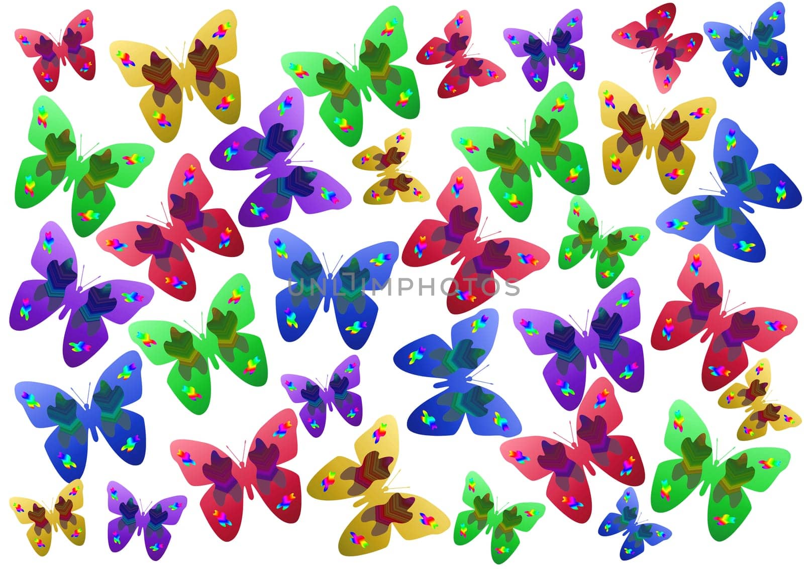 group of colored butterflies