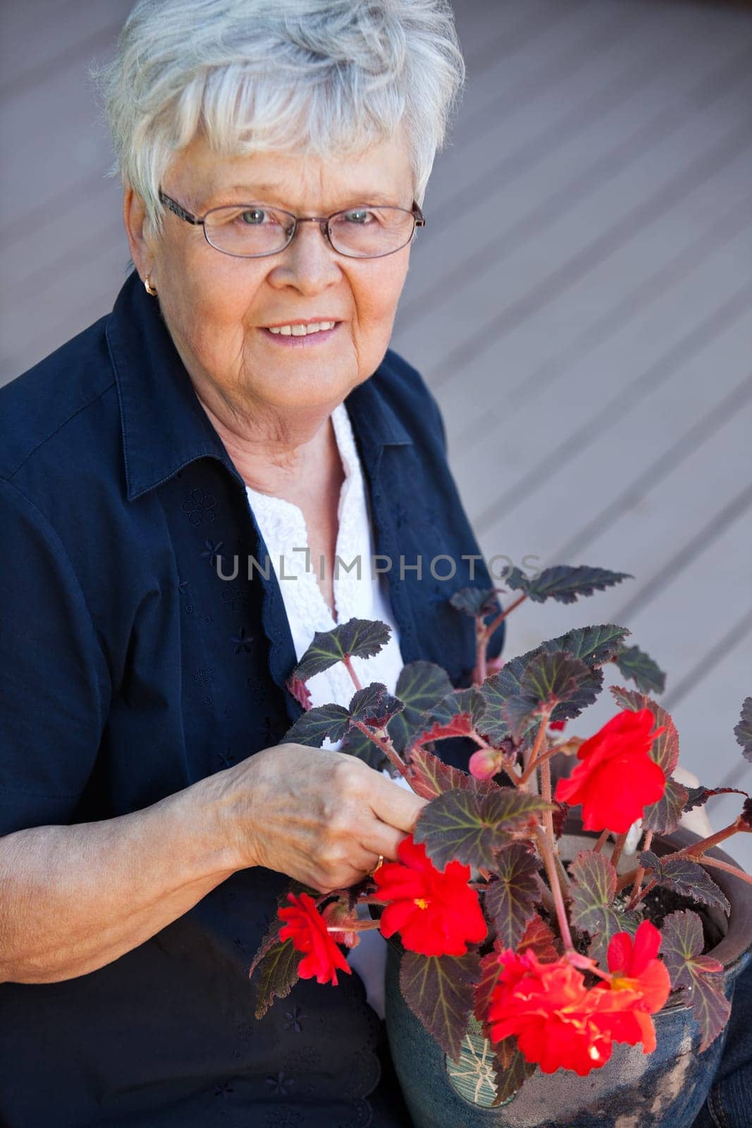 Portrait of smiling elderly woman with flower pot