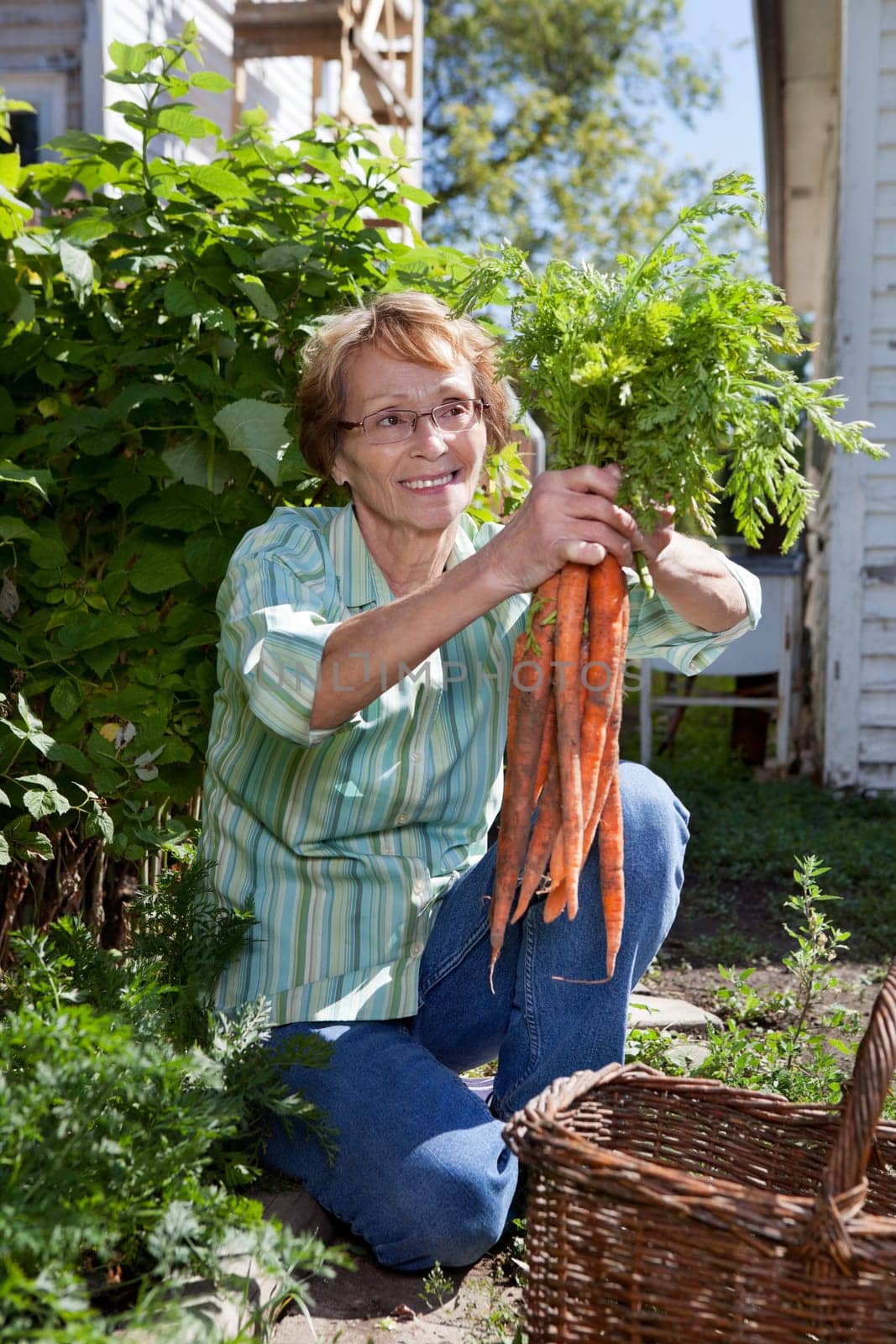 Senior woman holding fresh carrots and smiling