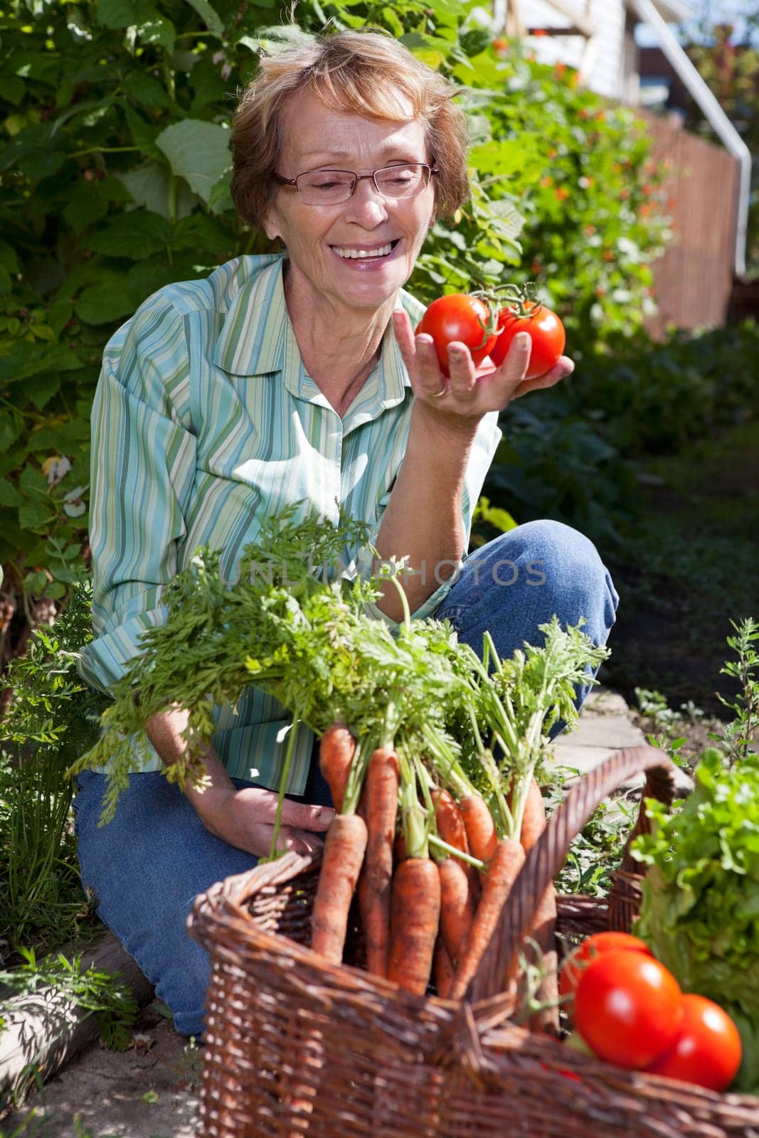 Senior woman in garden picking fresh produce