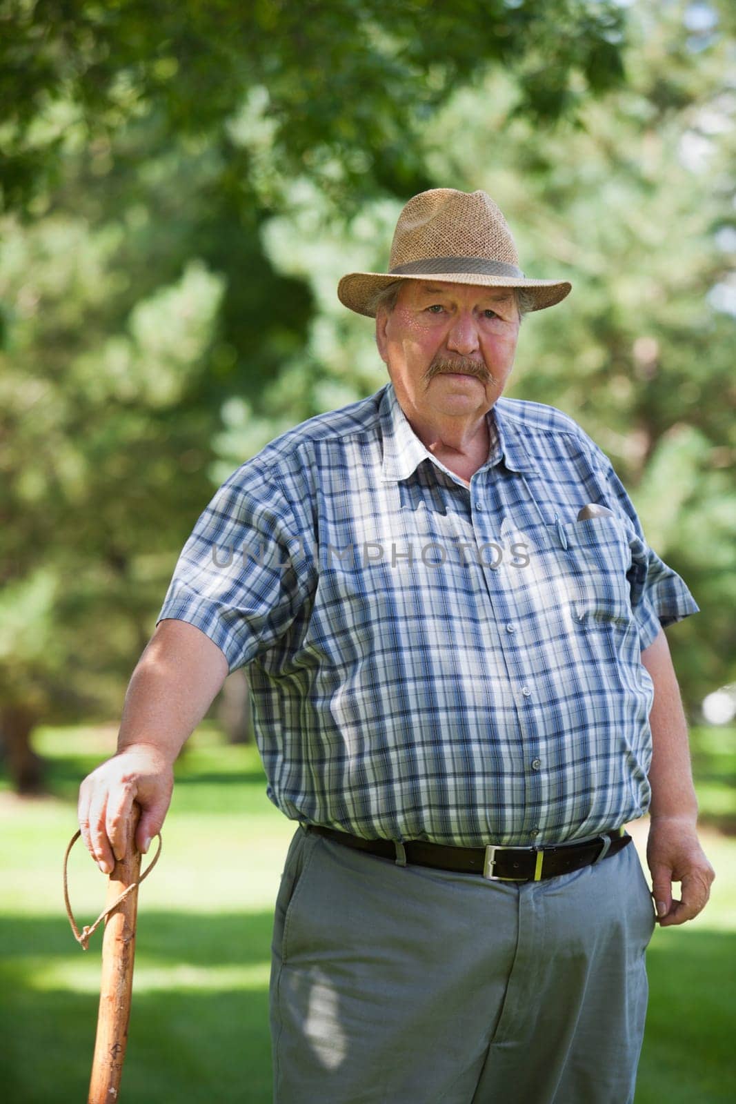 Portrait of senior man standing in park