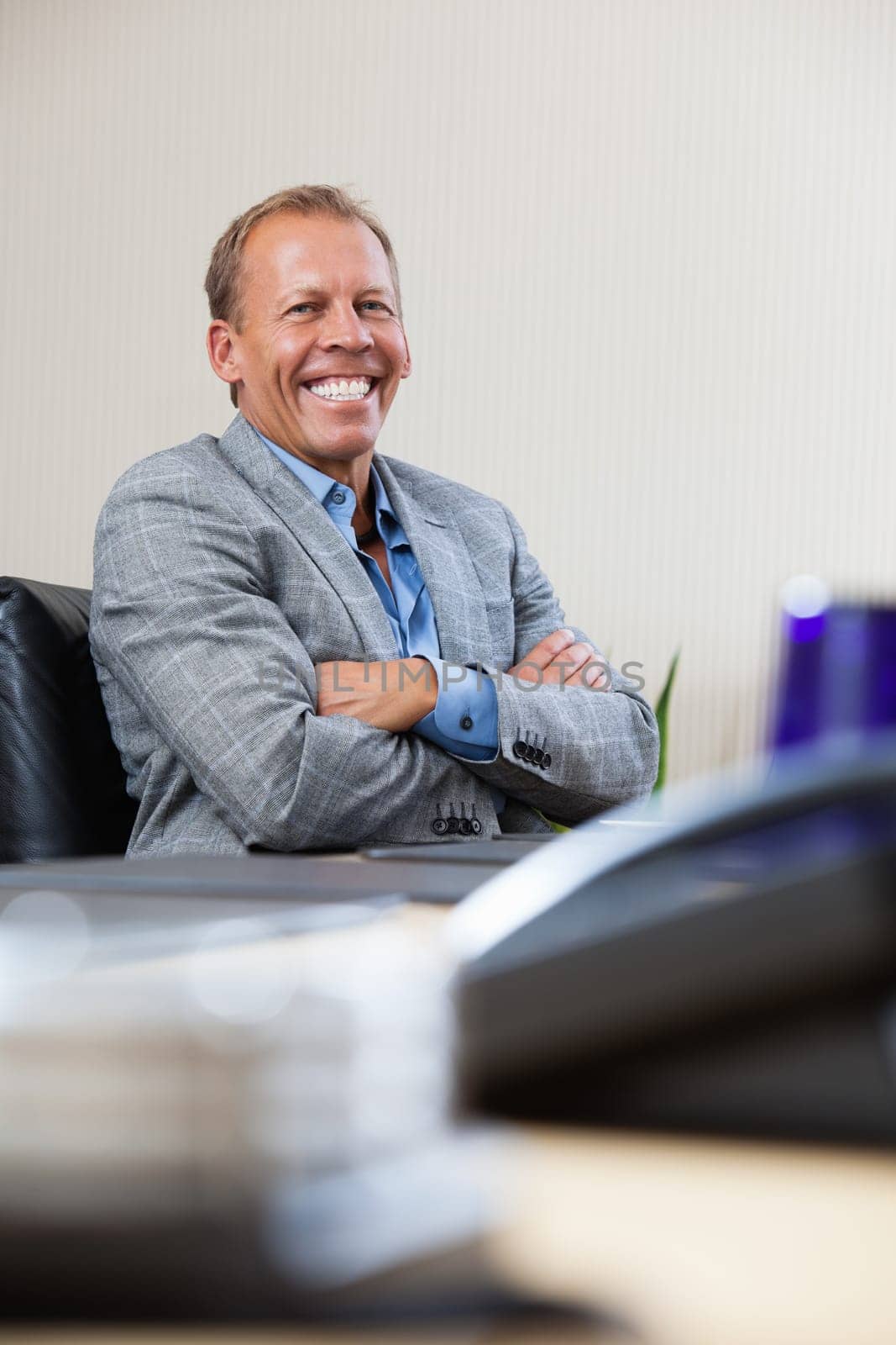 Portrait of smiling mature executive sitting with hands folded