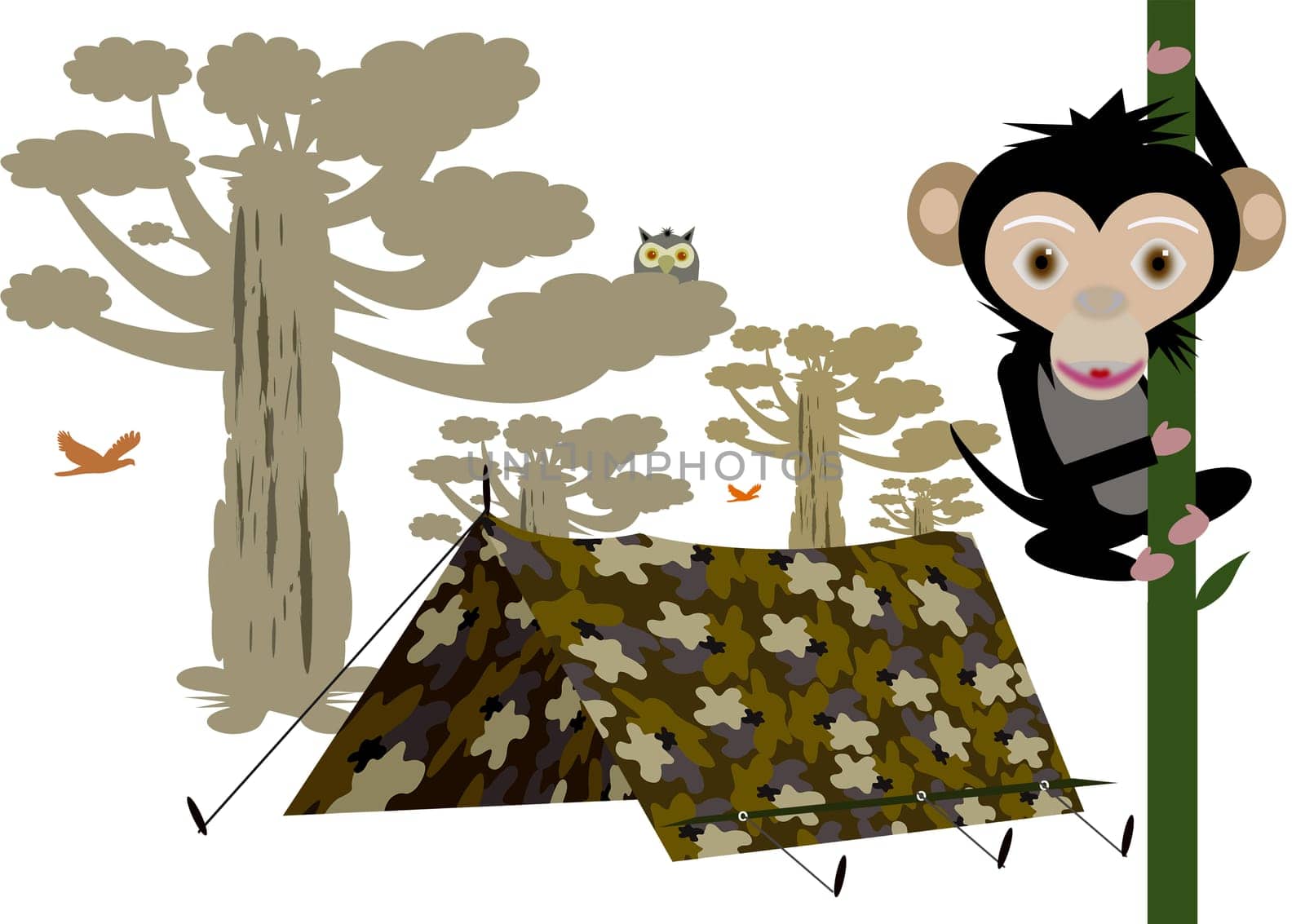 camping tent in the African savannah