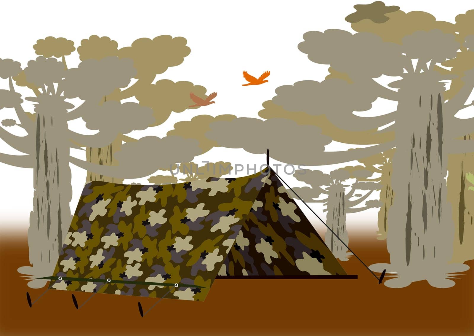camping tent in the African savannah