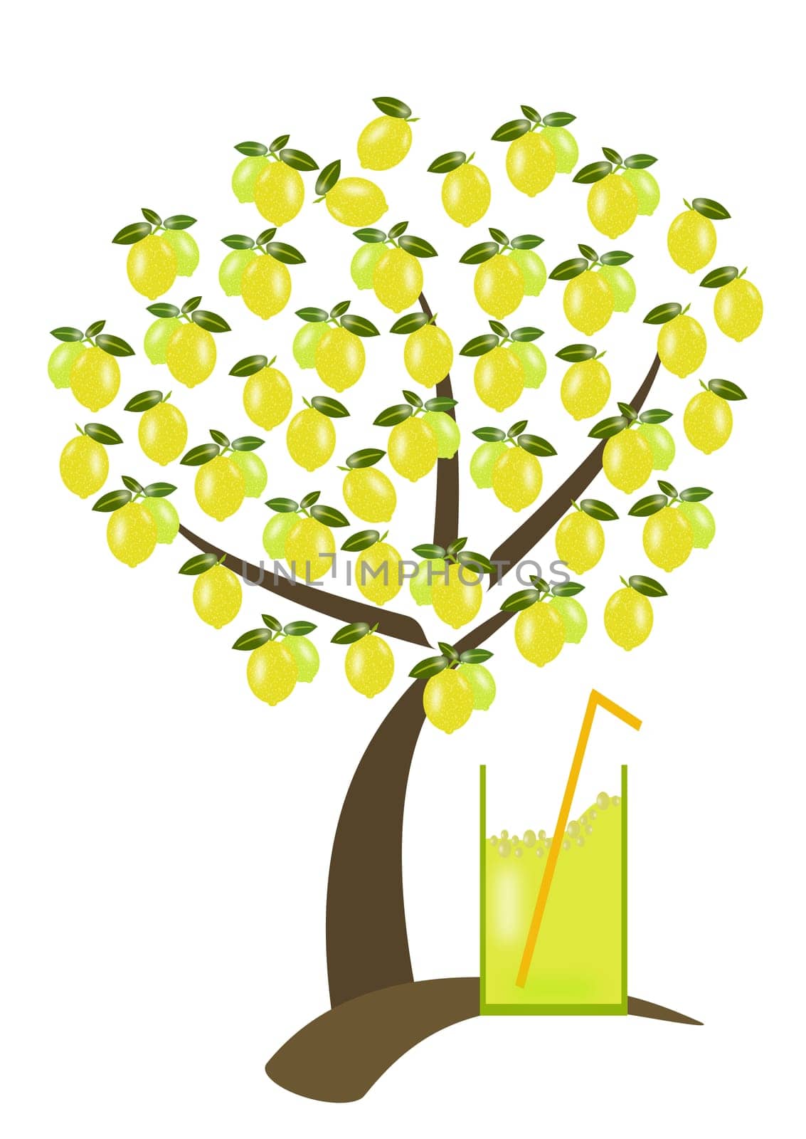 lemon tree