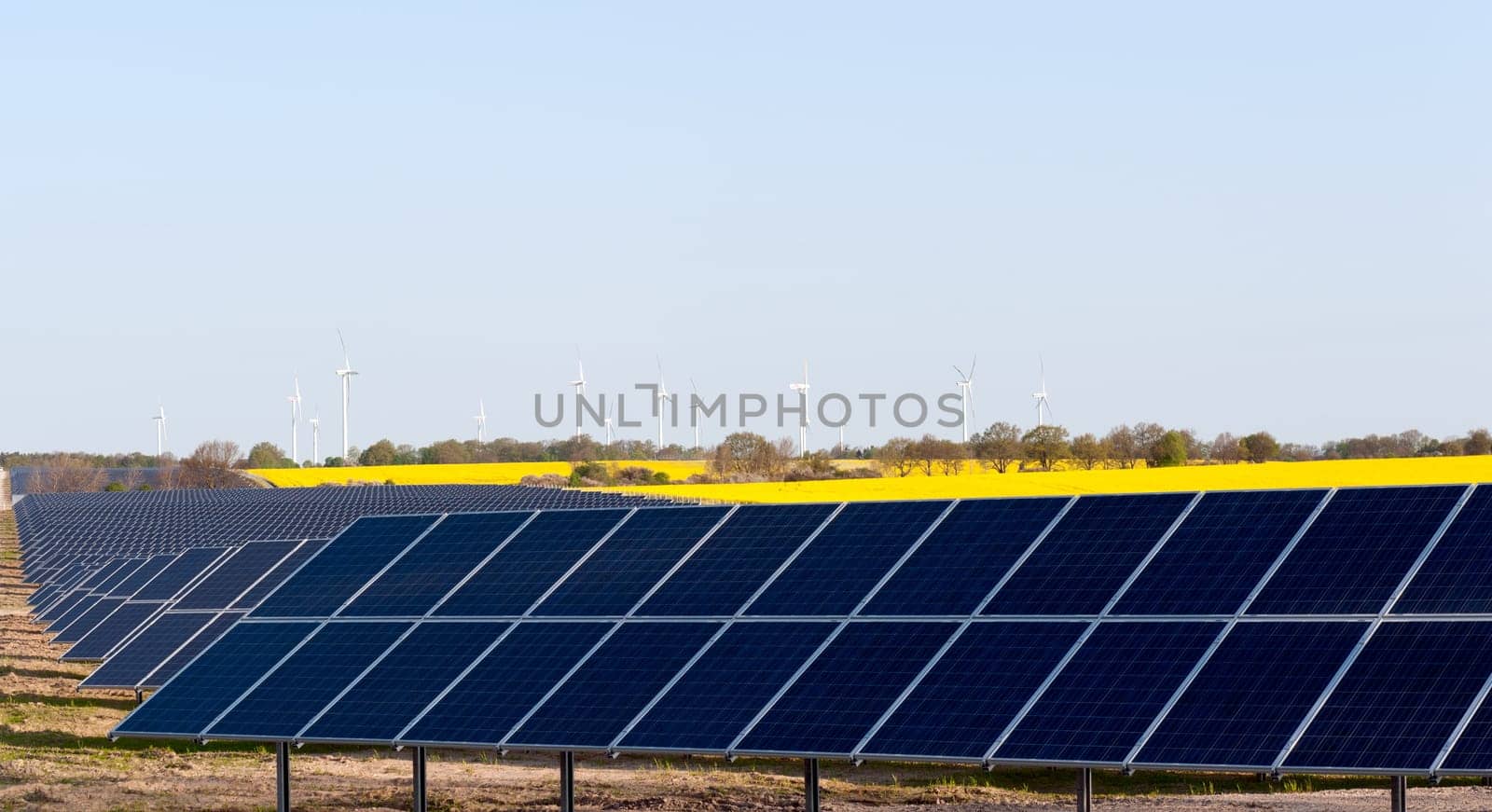 Wind turbines and solar panels in a rapeseed field