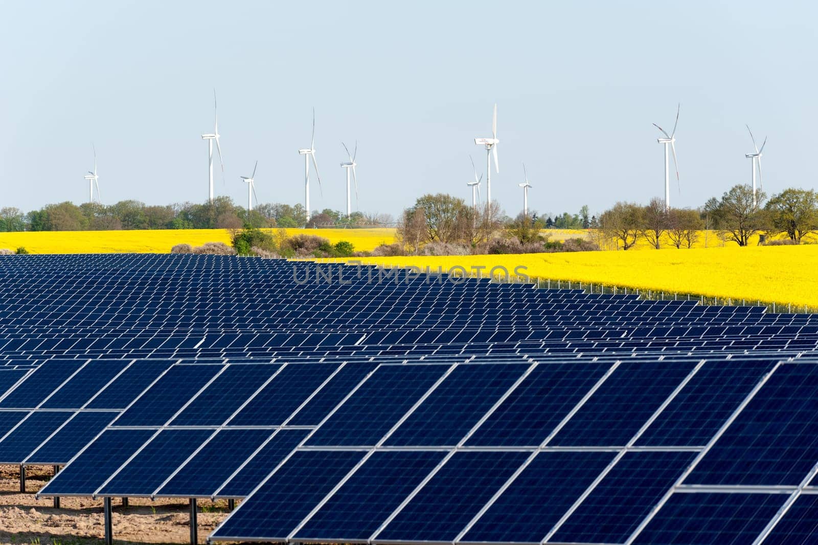 Wind turbines and solar panels in a rapeseed field