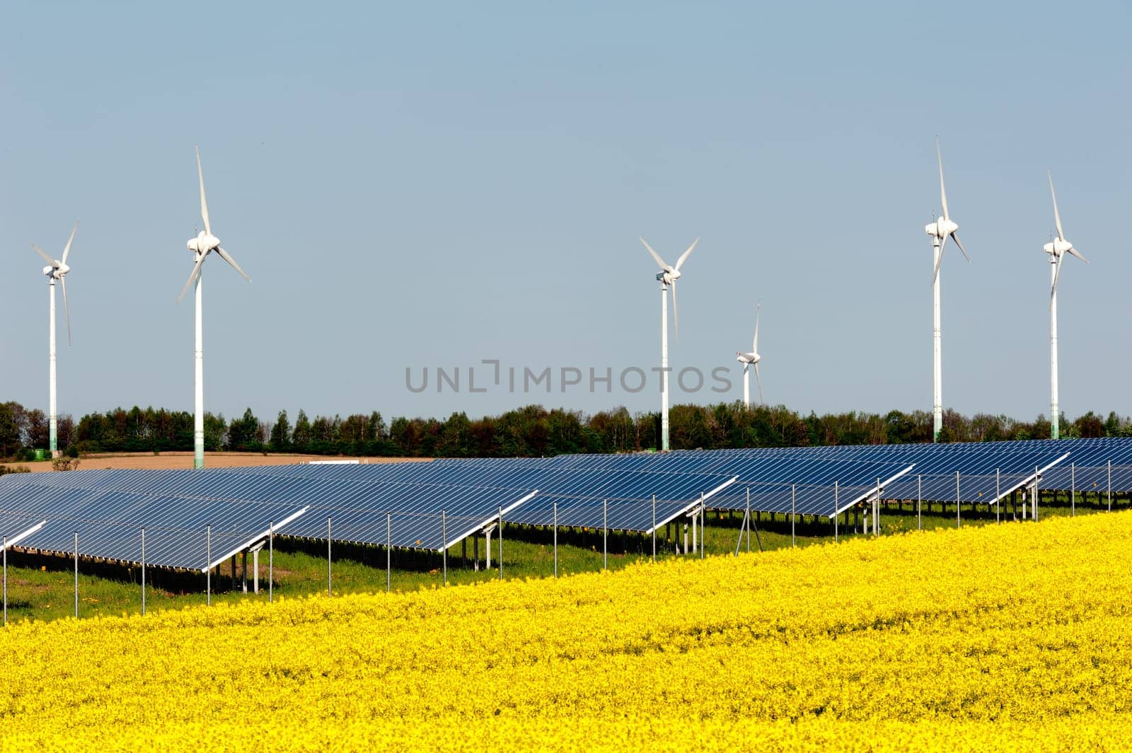 Wind turbines and solar panels in a rapeseed field