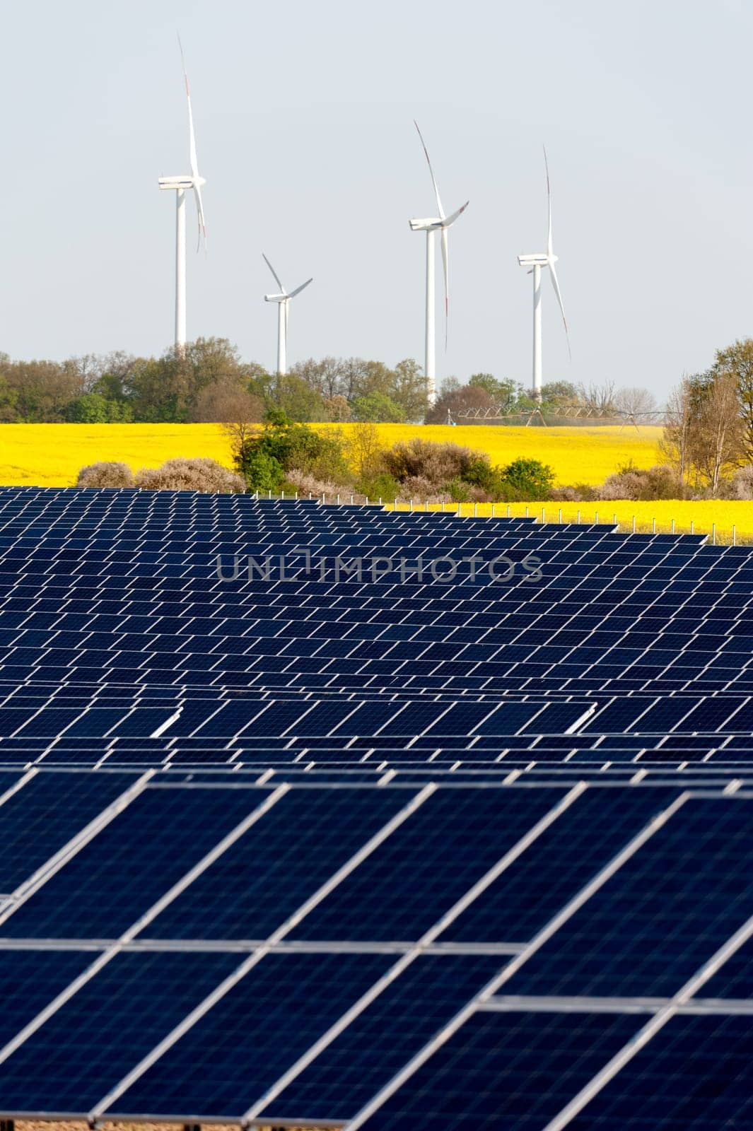 Wind turbines and solar panels in a rapeseed field