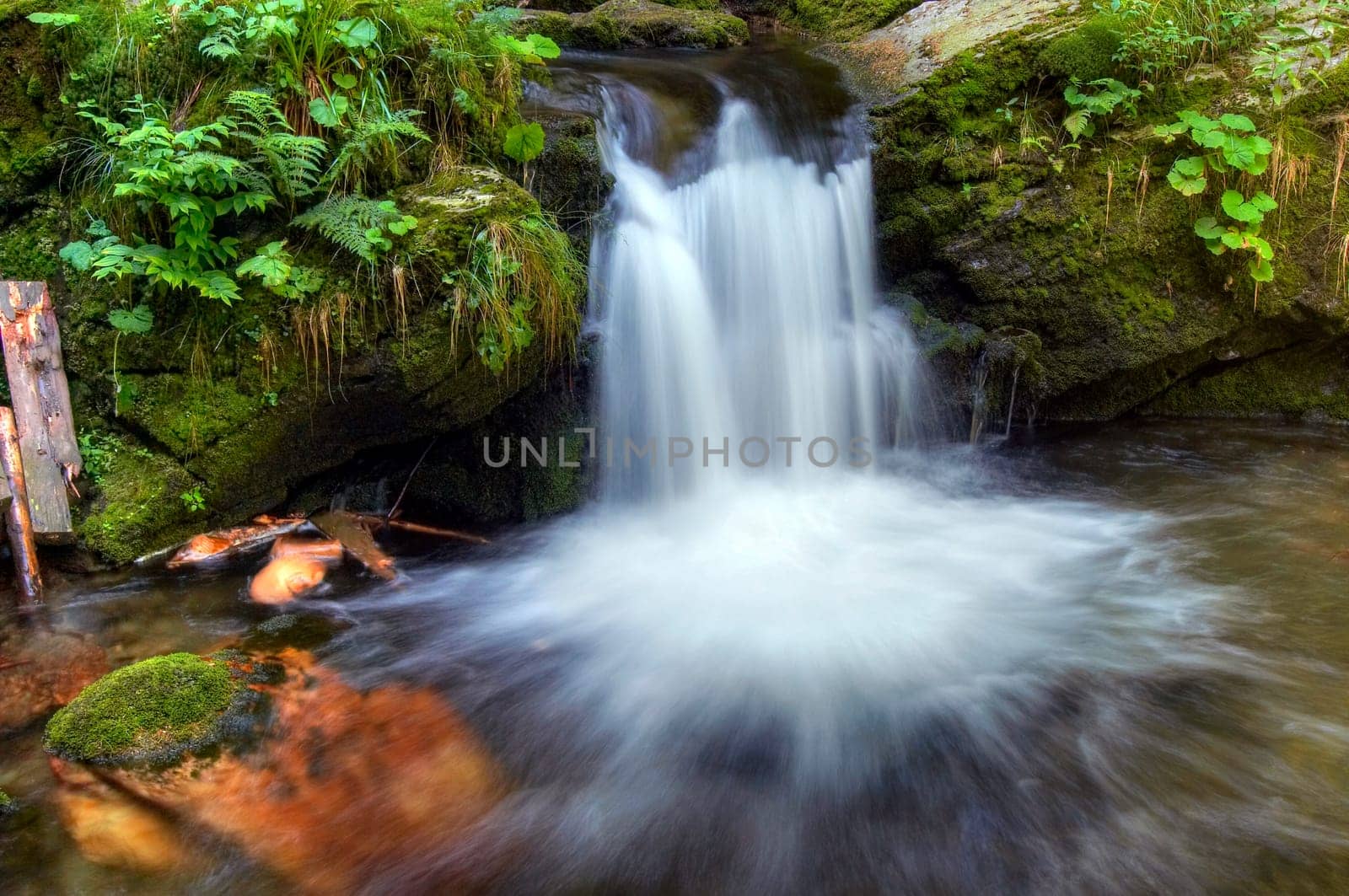 Shot of the fall of water- detail. River valley of stream Bila Opava - natural area - nature preserve. Mountainous district Jesenik, Czech republic, Europe.