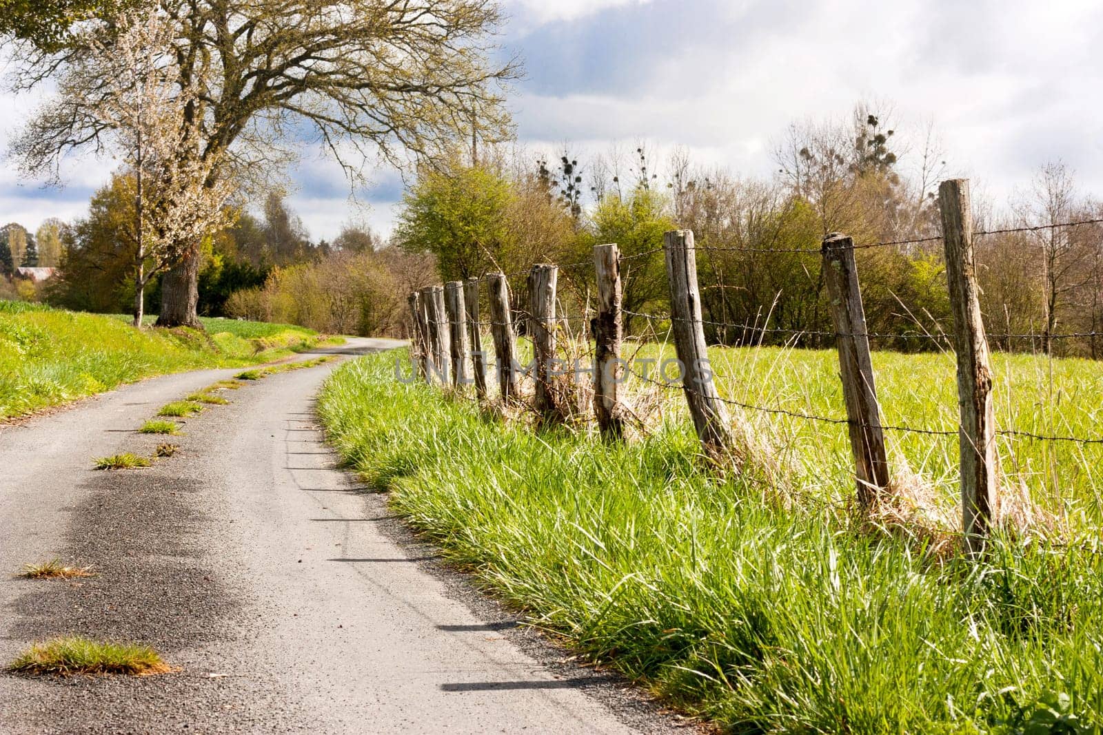 Countryside landscape in France with a small road and fence pasture
