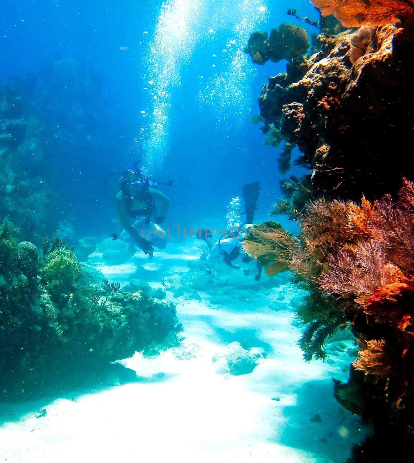 Two divers swimming toward camera through underwater reefs