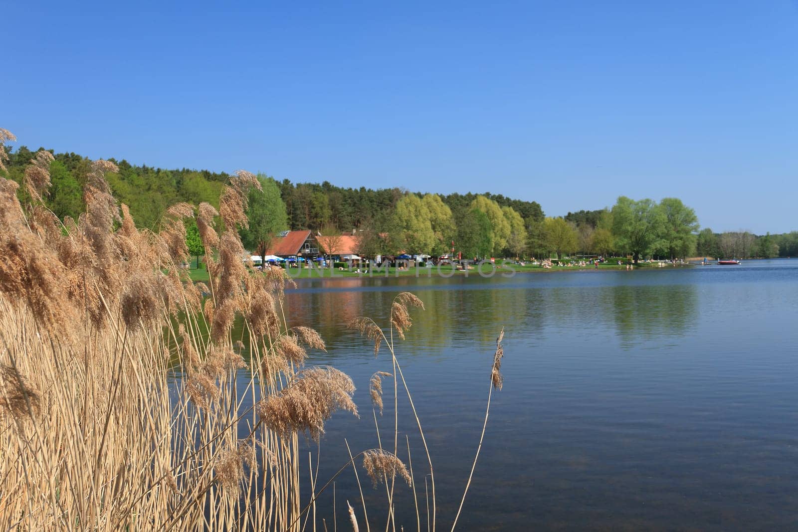 Rothsee