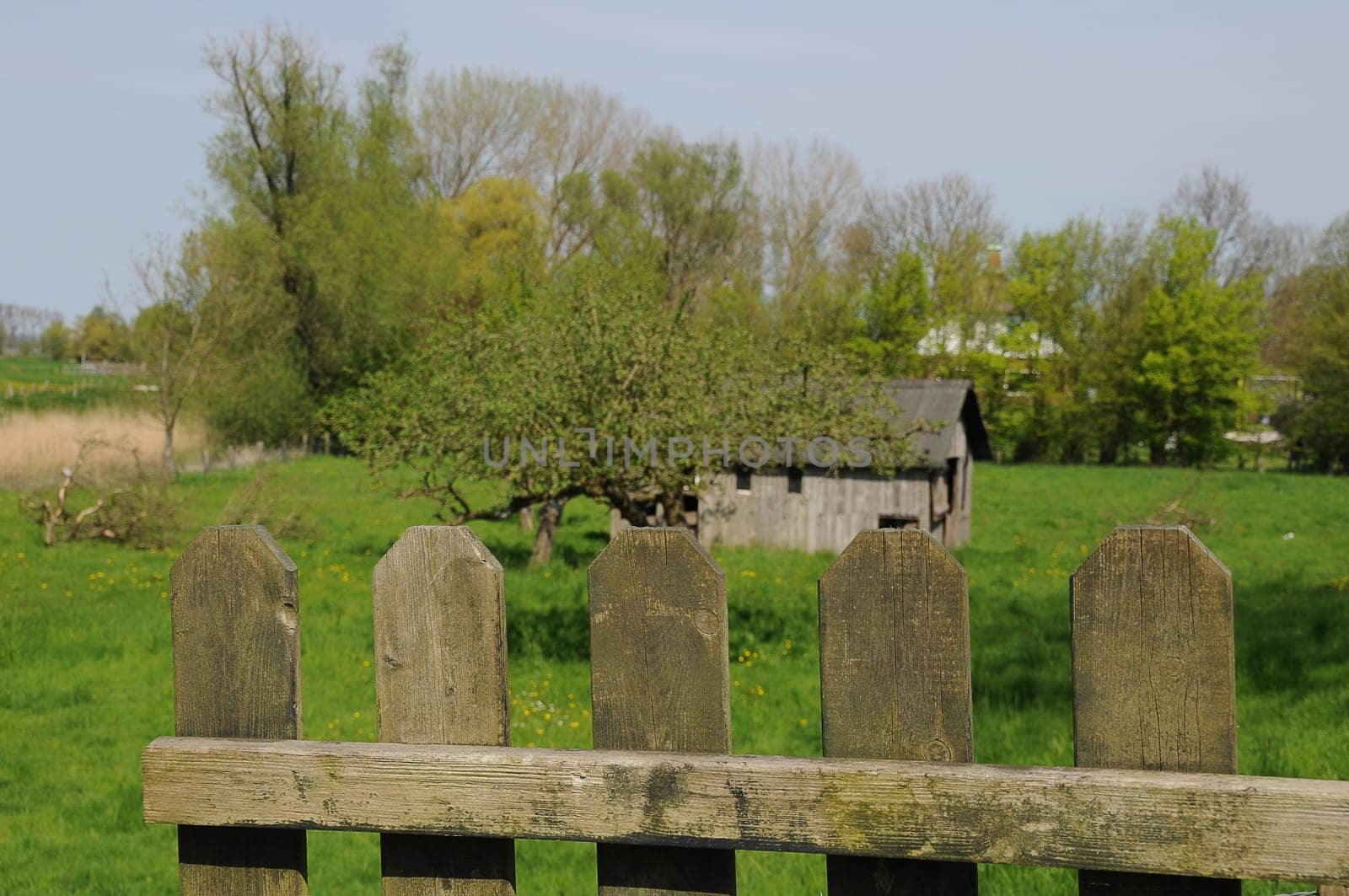 old shed
