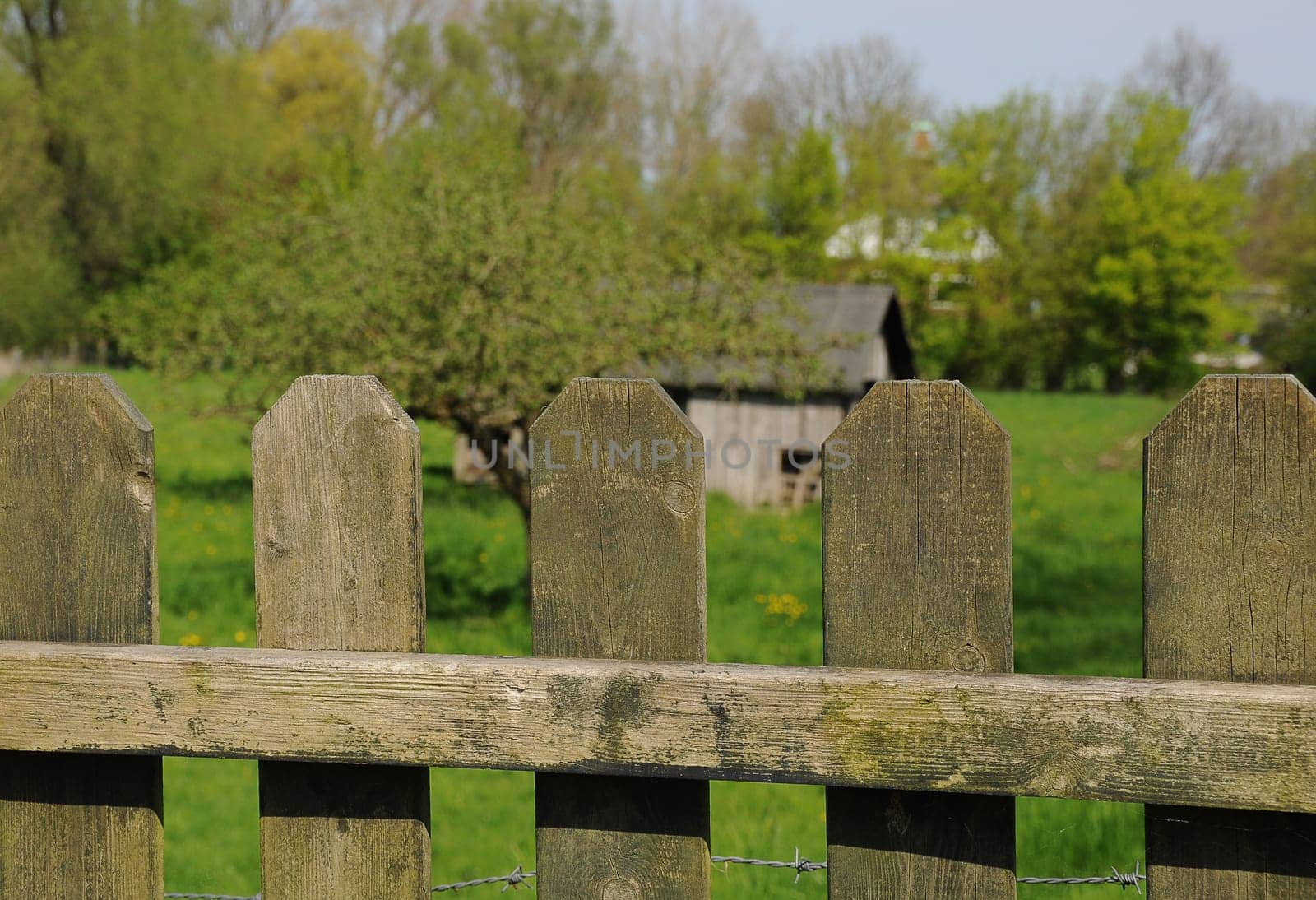 old wooden fence