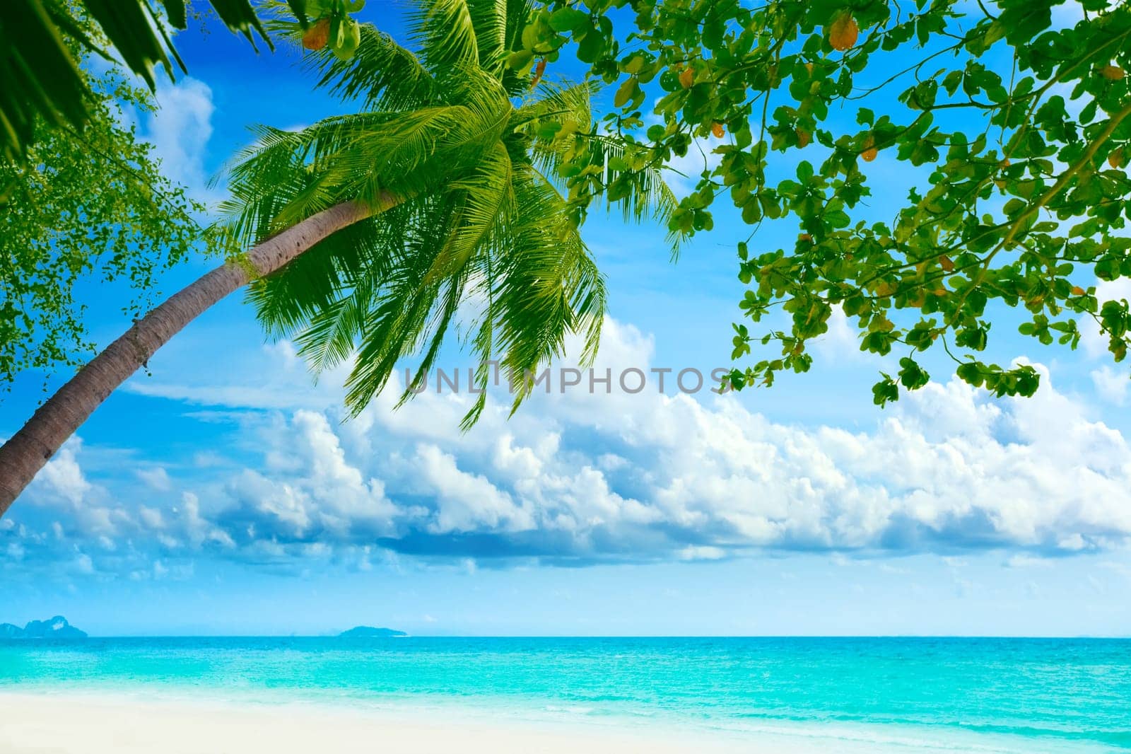 Beautiful tropical beach with palmtree on foreground