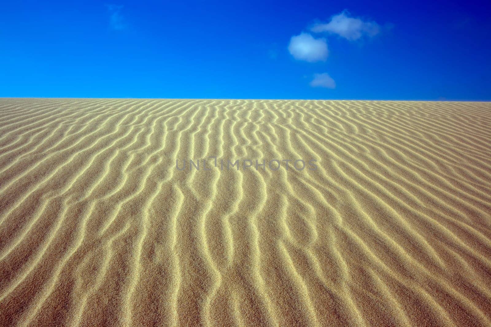 Sandy dunes in desert