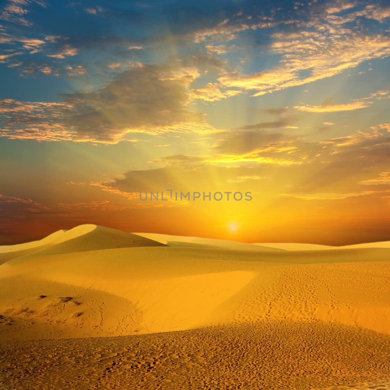 Sandy desert