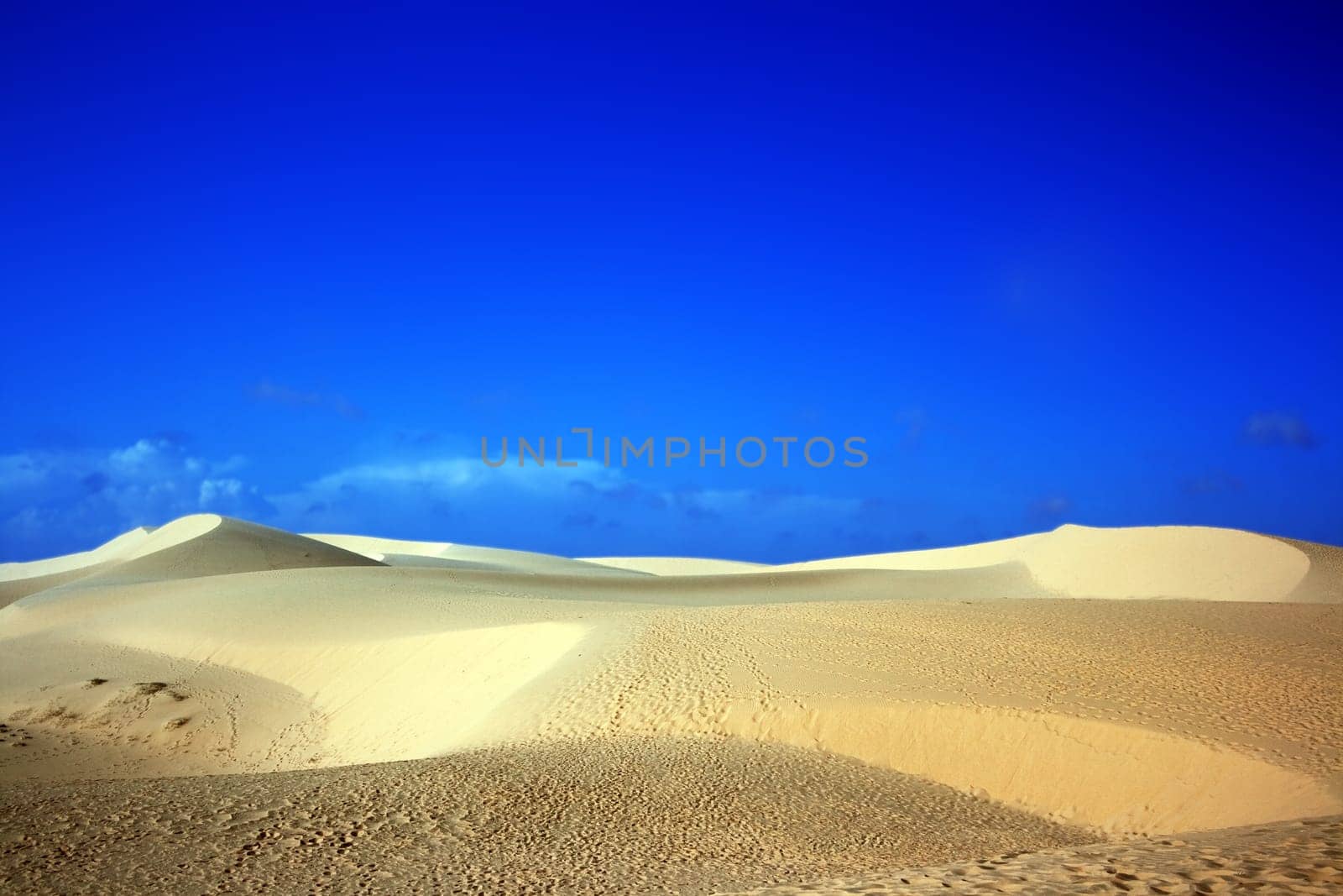 Sandy desert