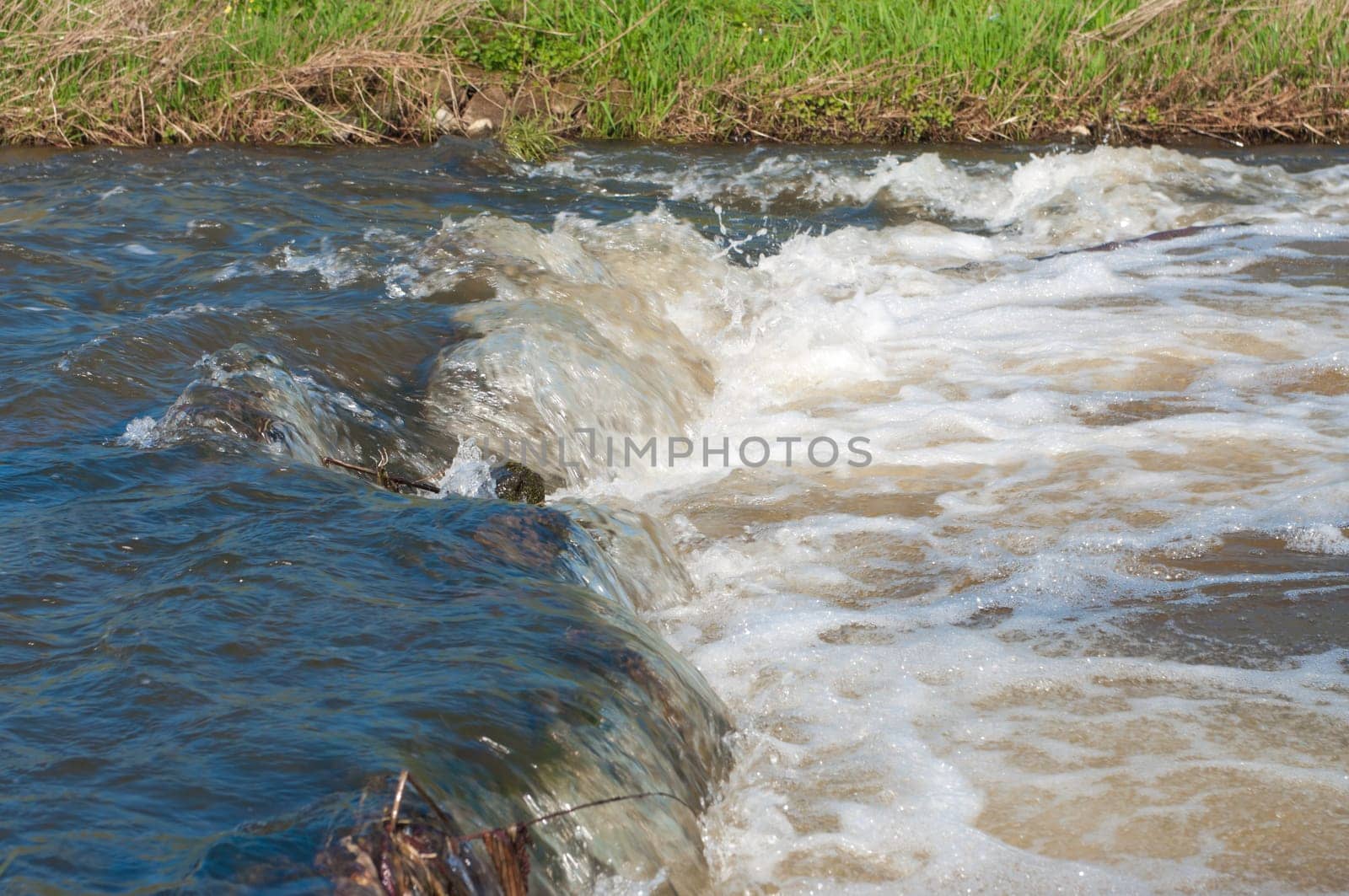 rapids in a small river