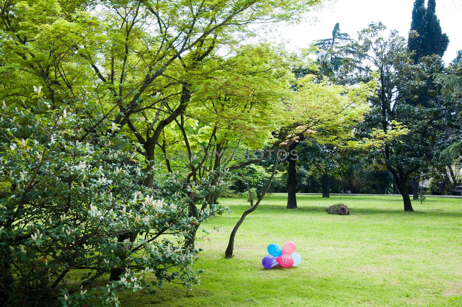 Natural arboretum park in bright city Sochi
