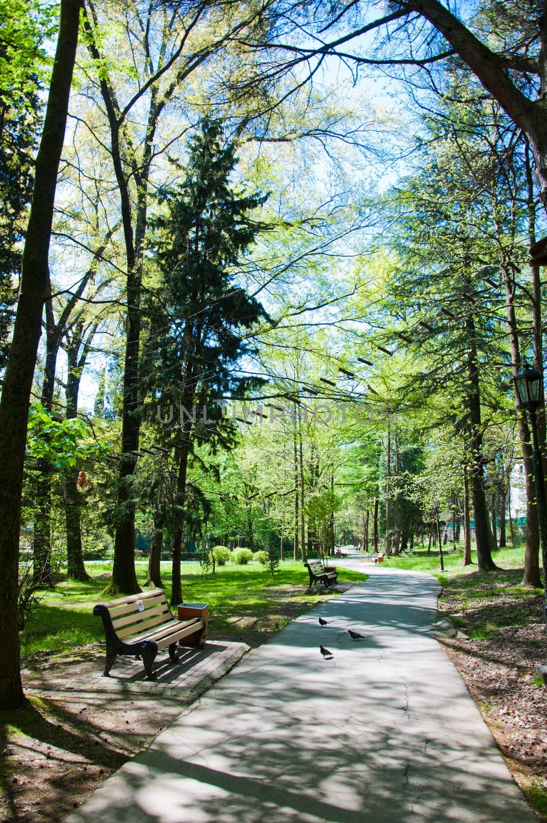 Sunny day in Riviera park in city Sochi