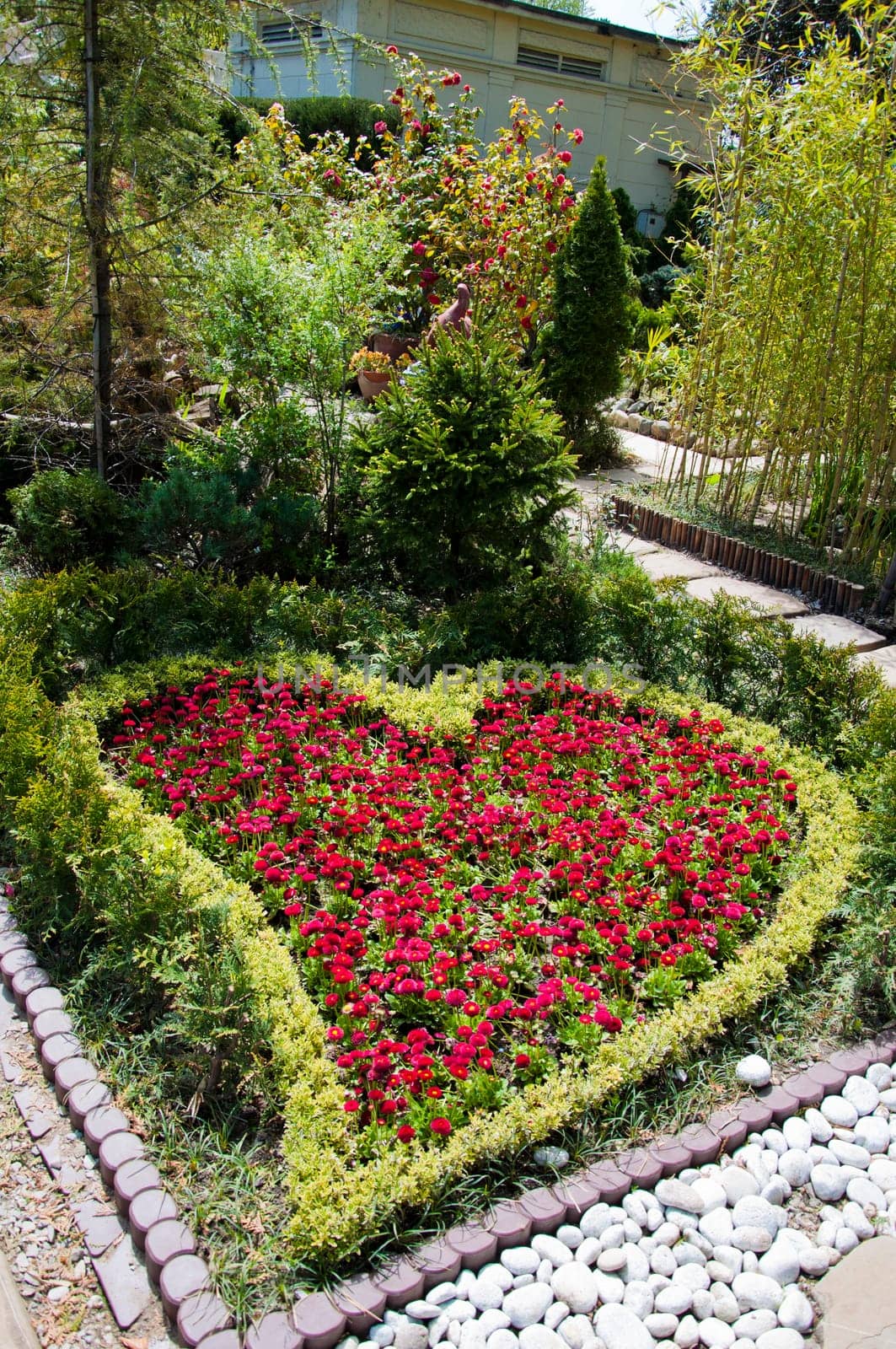 The red flower in the garden of park