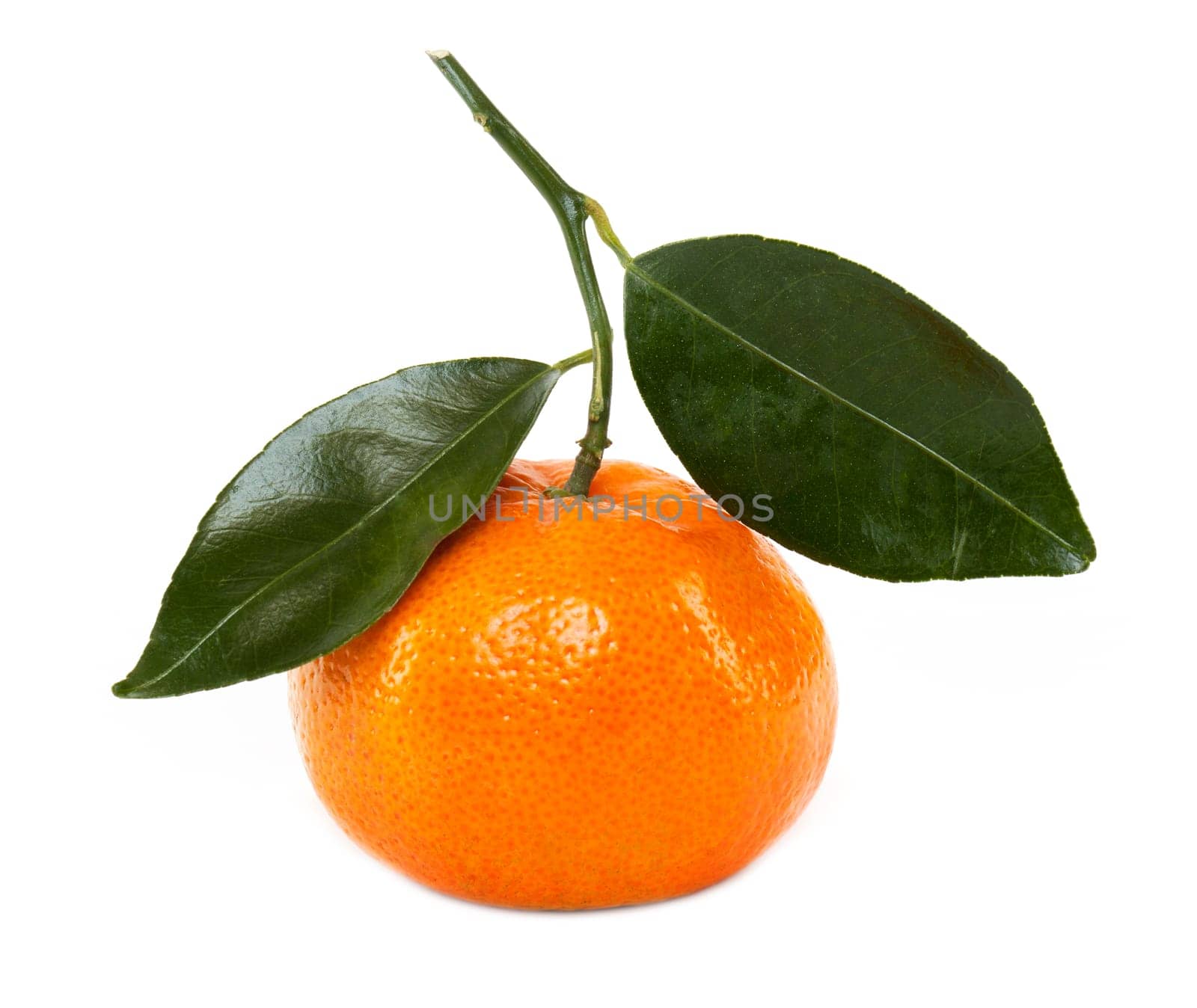 Tangerine,fruit with leaf isolated against white background