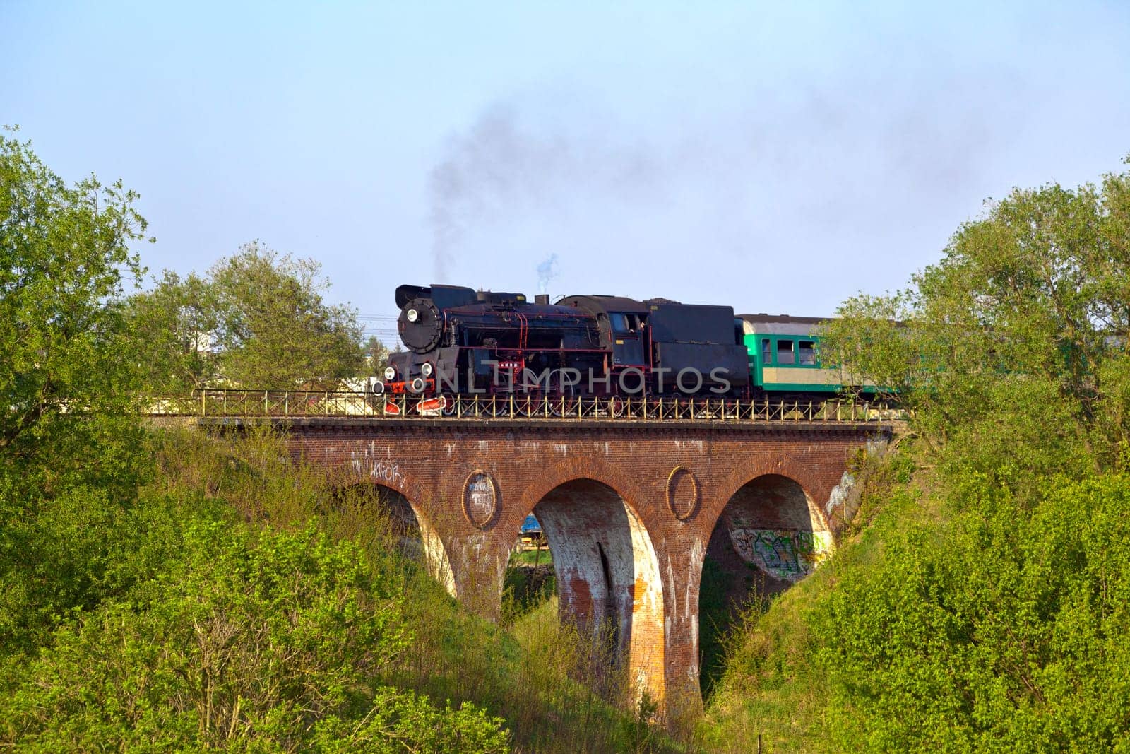 Vintage steam passing over the viaduct