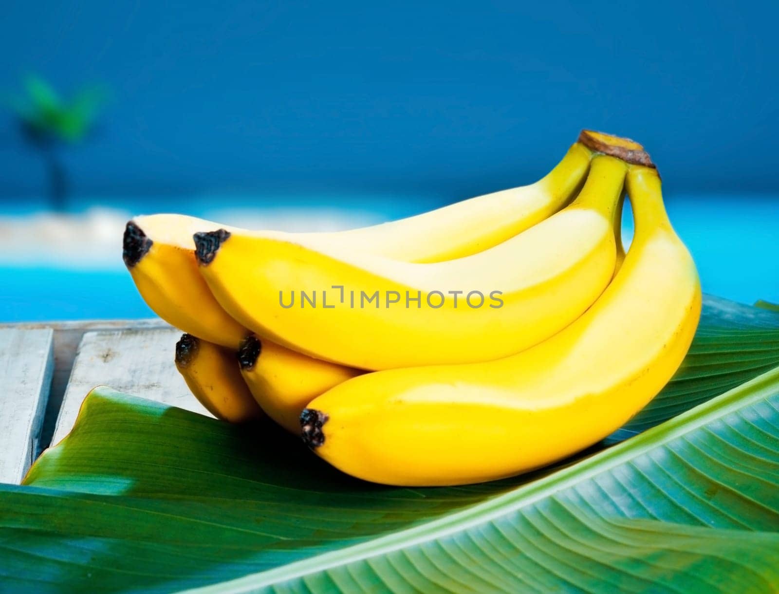 Bunch of ripe yellow bananas nestling on a banana frond under a blue tropical sky