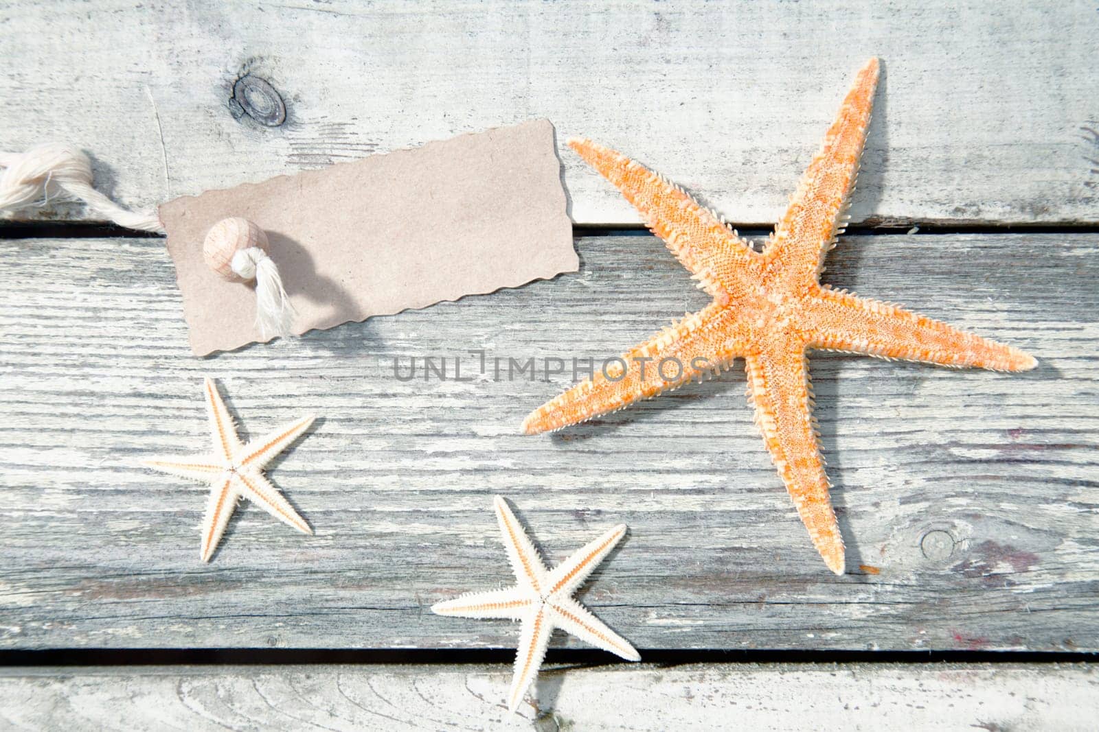 Nautical starfish background with three sea stars on weathered timber planks with a blank label for your text