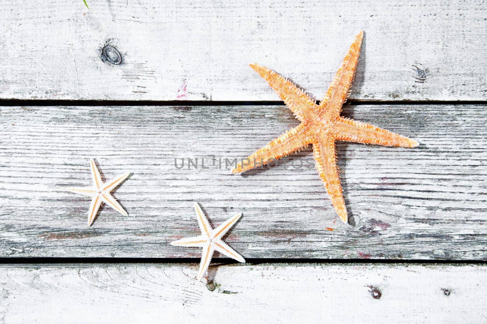 Three starfish or sea stars on a weathered textured wooden background of old timber planks with copyspace