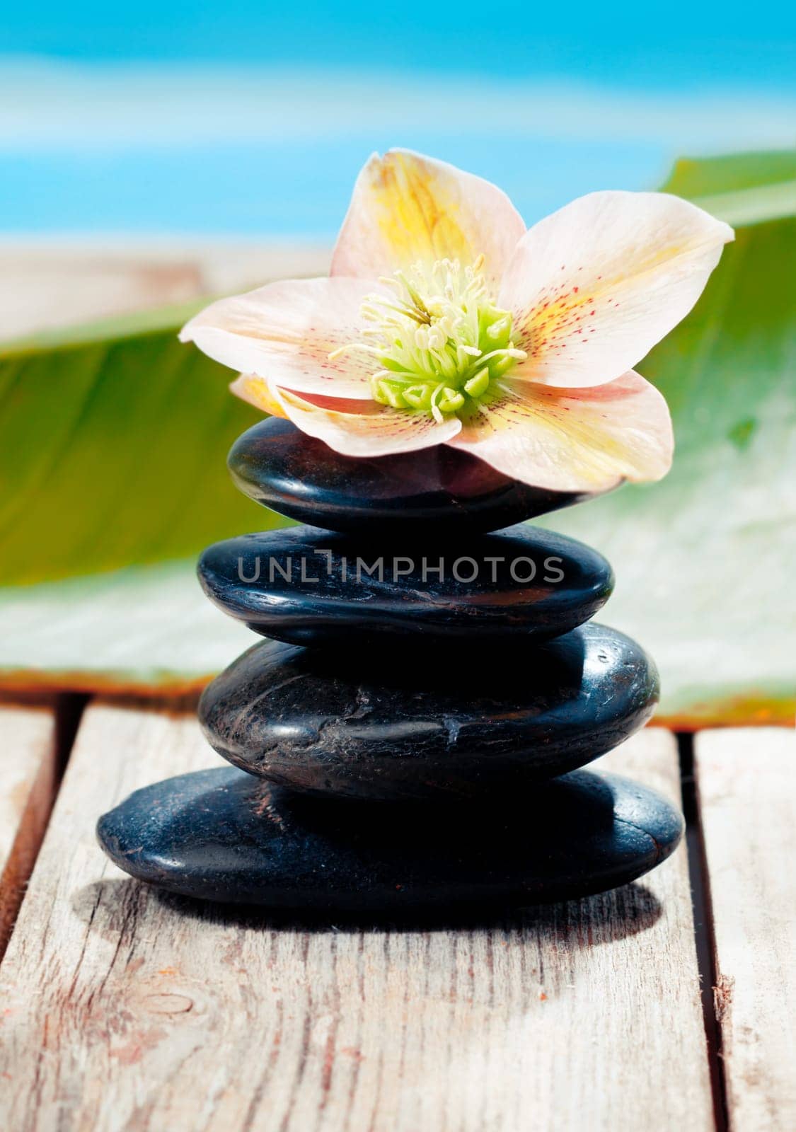 Hot Stones with a beautiful flower standing on a deck, near the beach.