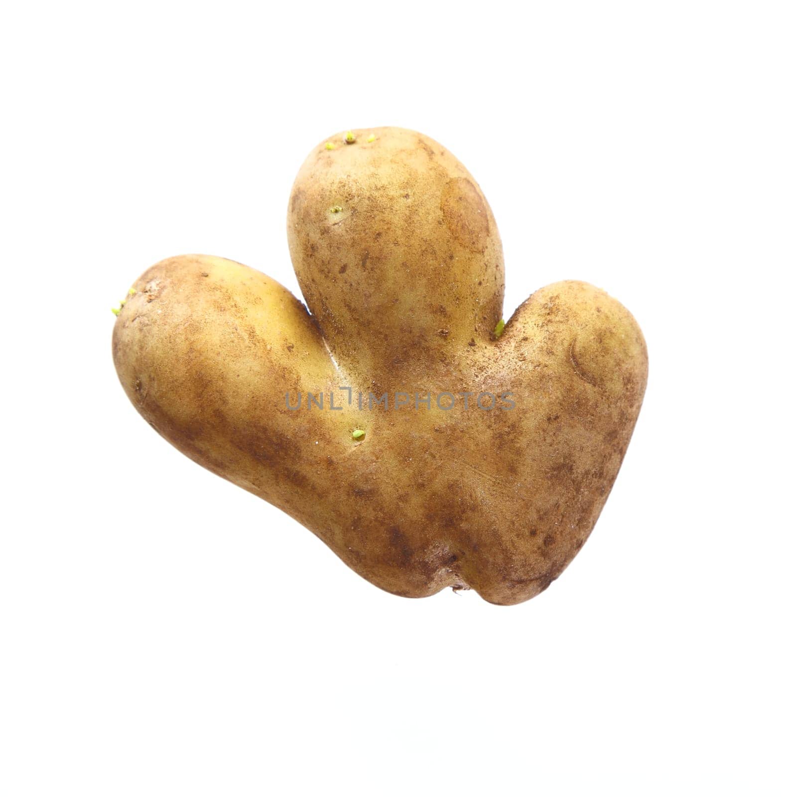 Funny Potato isolated on white background. Looks very funny