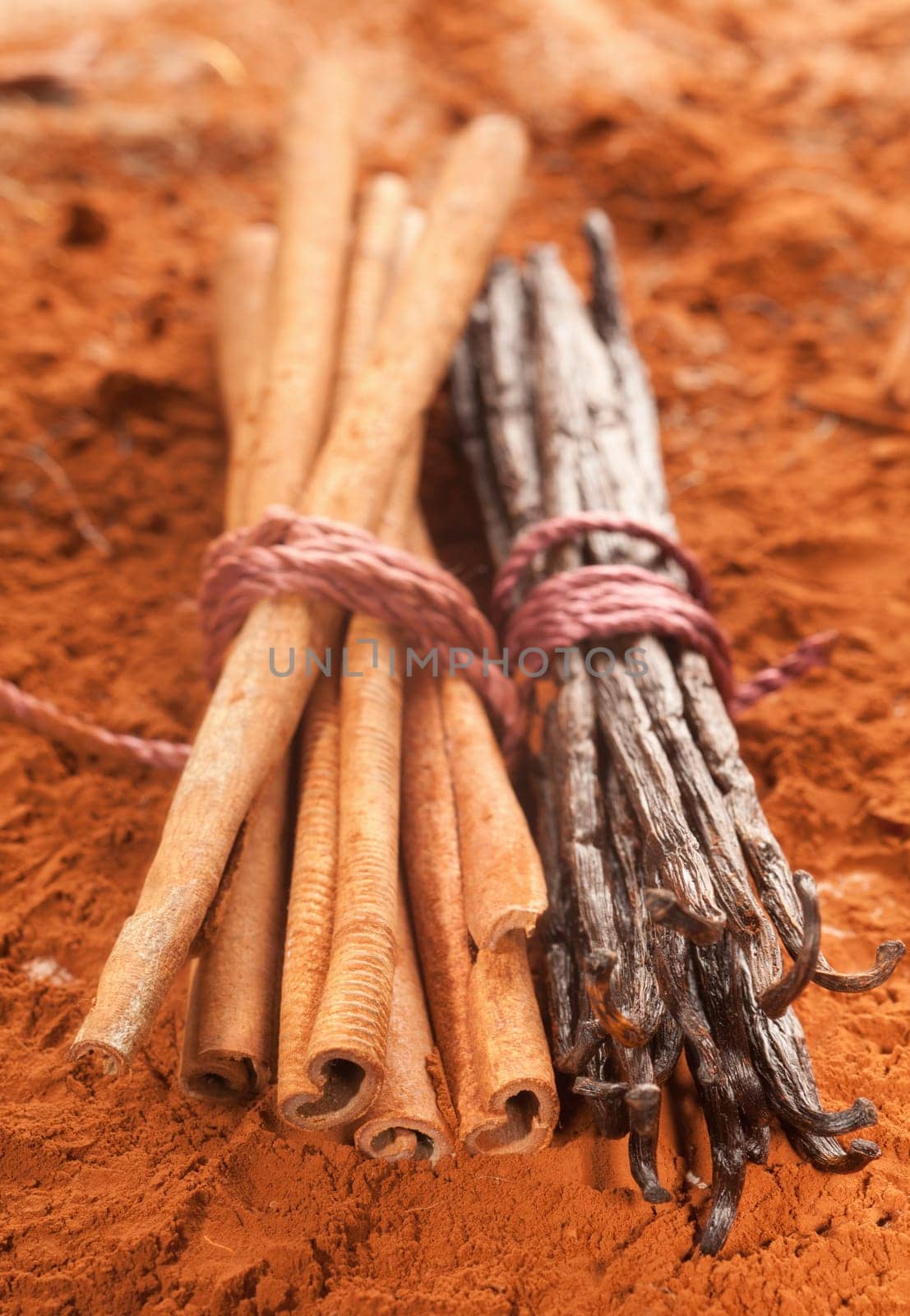 Long cinnamon and a bunch of vanilla on a brown cacao background
