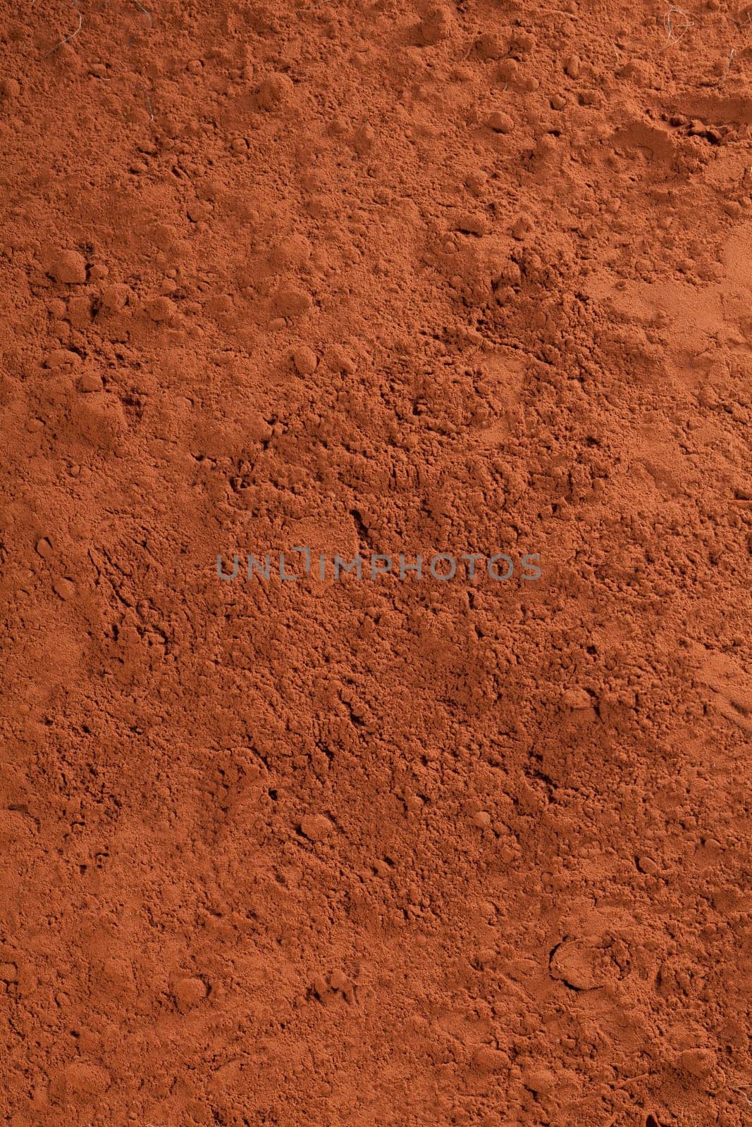 cacao powder, or chocolate powder for choc concepts