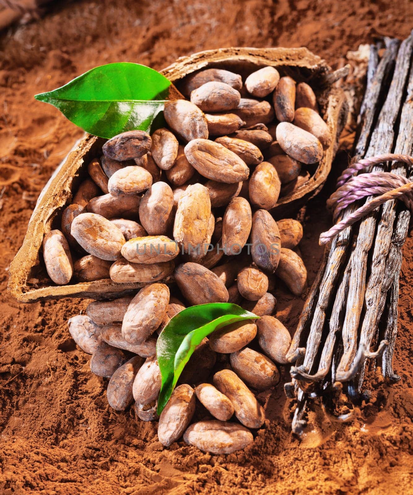 Cacao beans in a shell with a bunch of vanilla and fresh green leaves