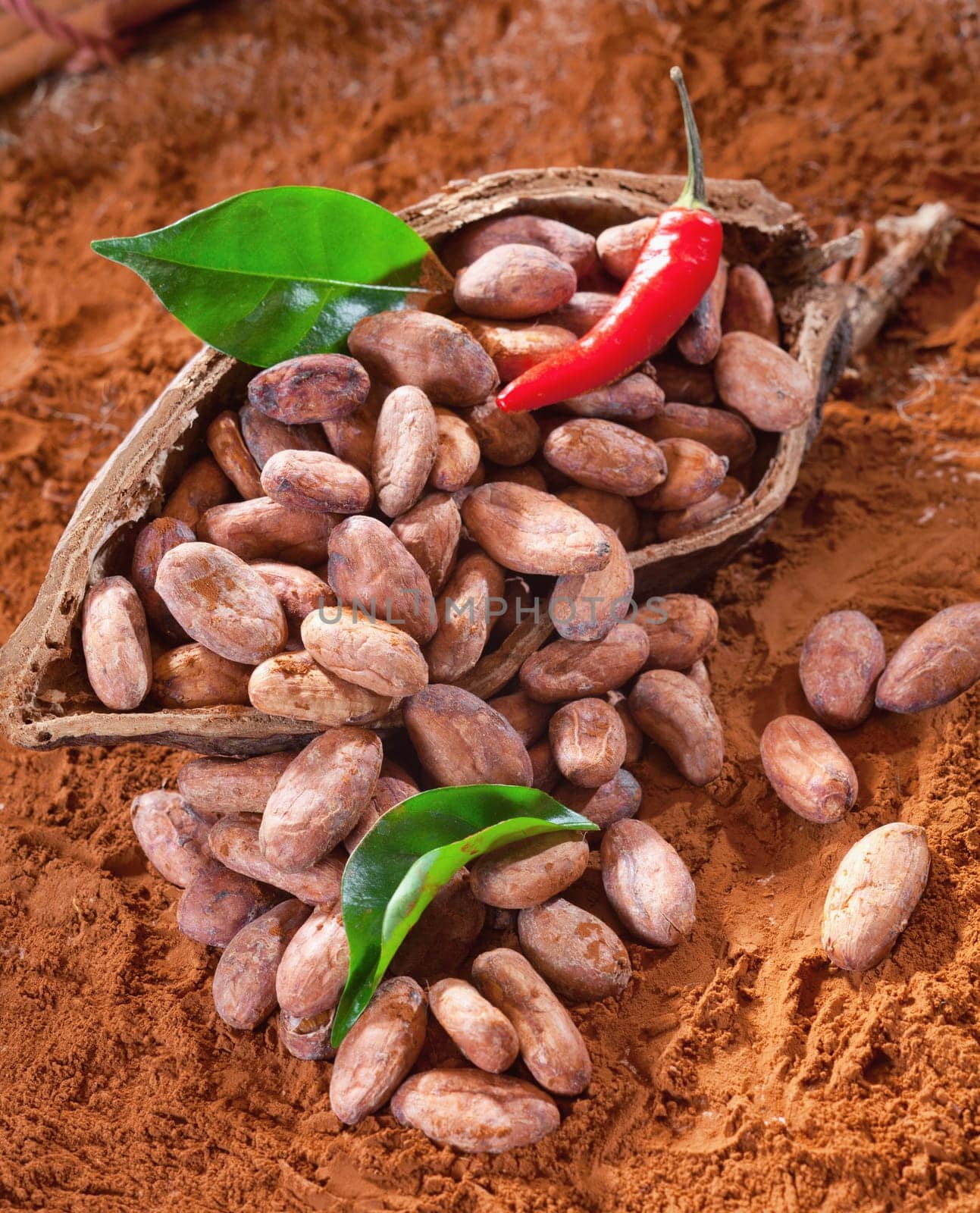 Cacao beans in a shell with cocoa leaves and beans and chili